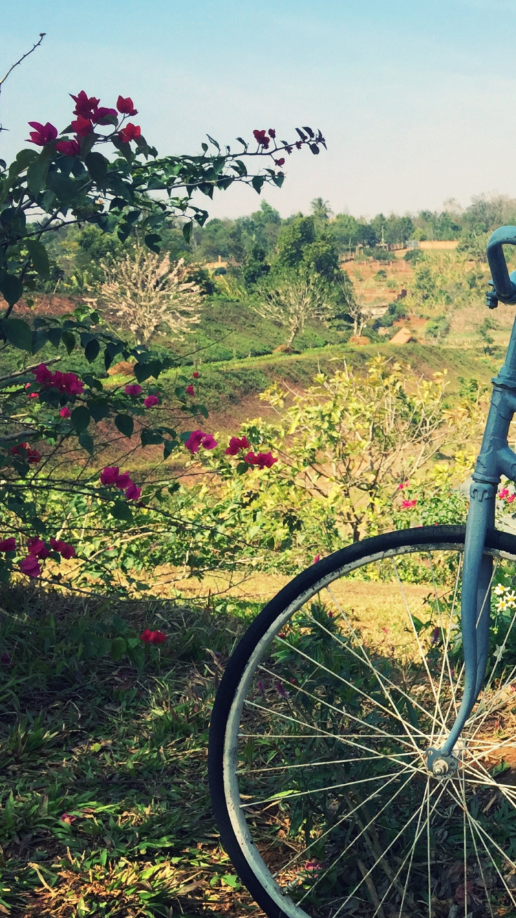 Vélo de Ville Bleu Avec Chapeau Marron et Noir Sur le Dessus. Wallpaper in 750x1334 Resolution