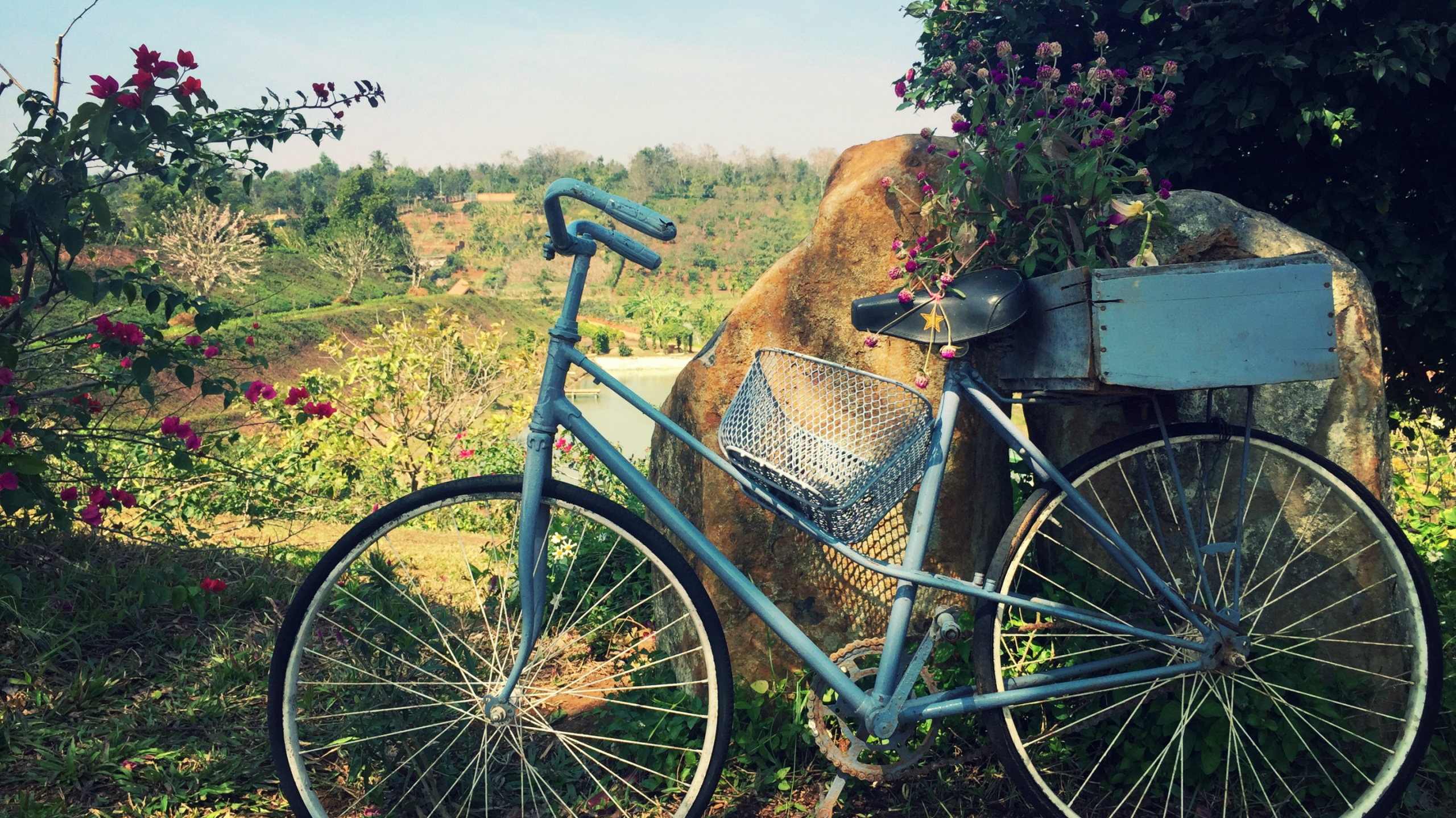 Blue City Bike With Brown and Black Hat on Top. Wallpaper in 2560x1440 Resolution