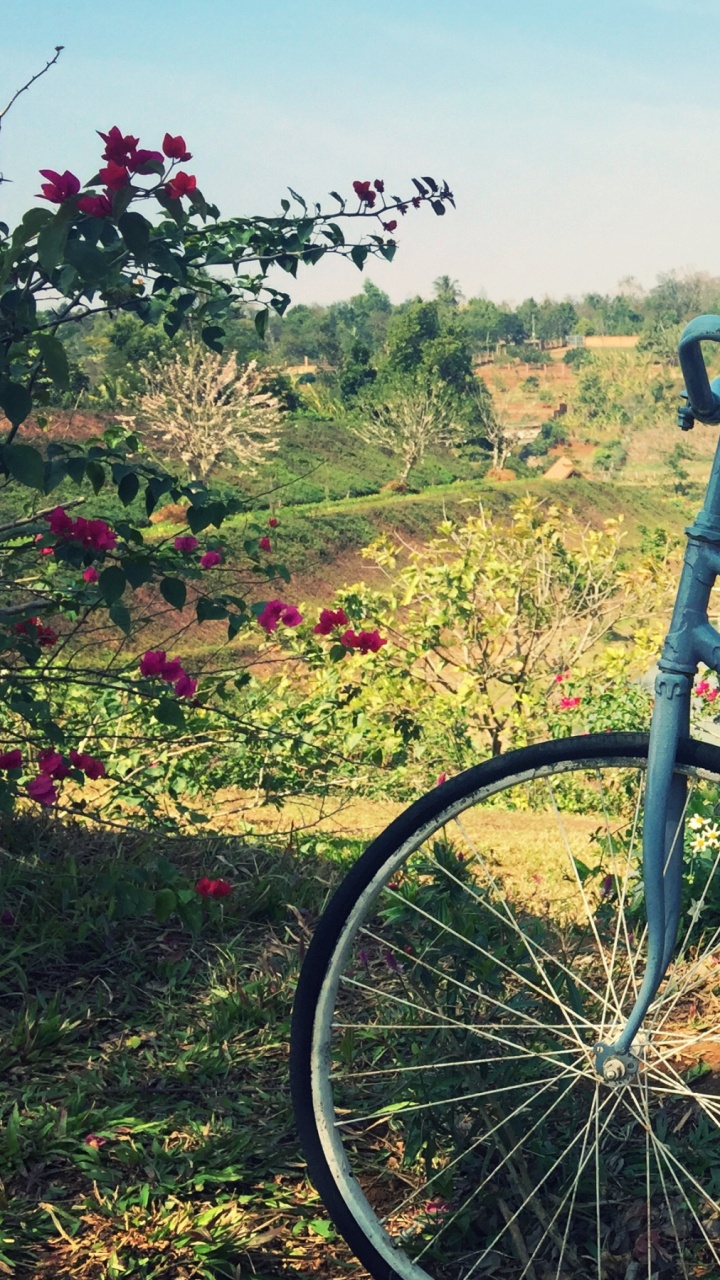 Blue City Bike With Brown and Black Hat on Top. Wallpaper in 720x1280 Resolution