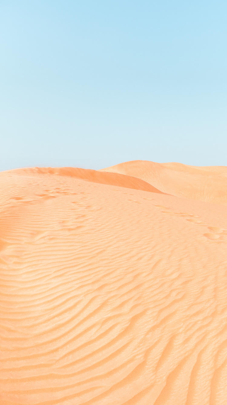 Désert du Sahara, Les Desserts, Environnement Naturel, Dune, Eoliennes Relief. Wallpaper in 750x1334 Resolution