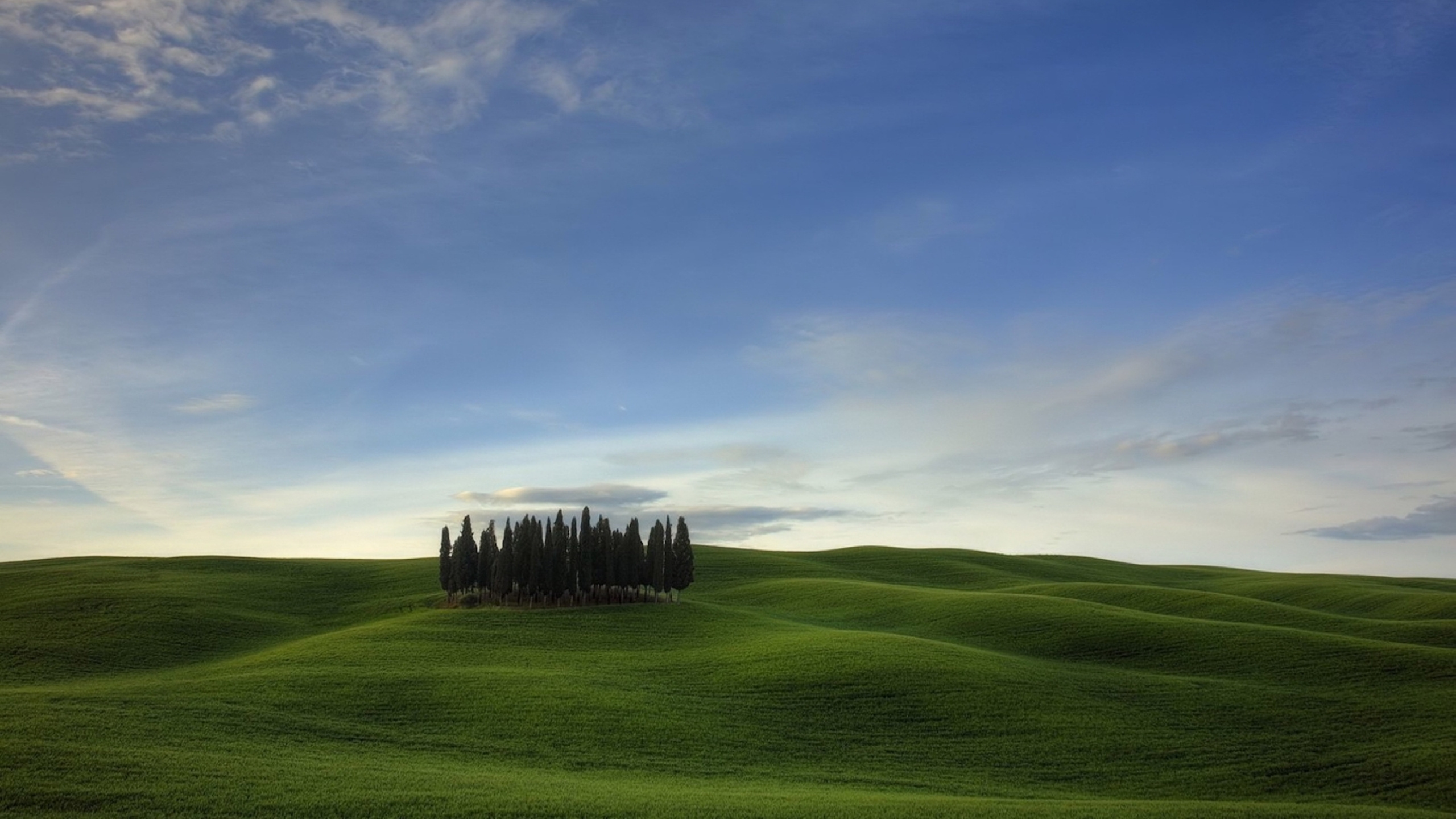 Green Grass Field Under Blue Sky During Daytime. Wallpaper in 2560x1440 Resolution
