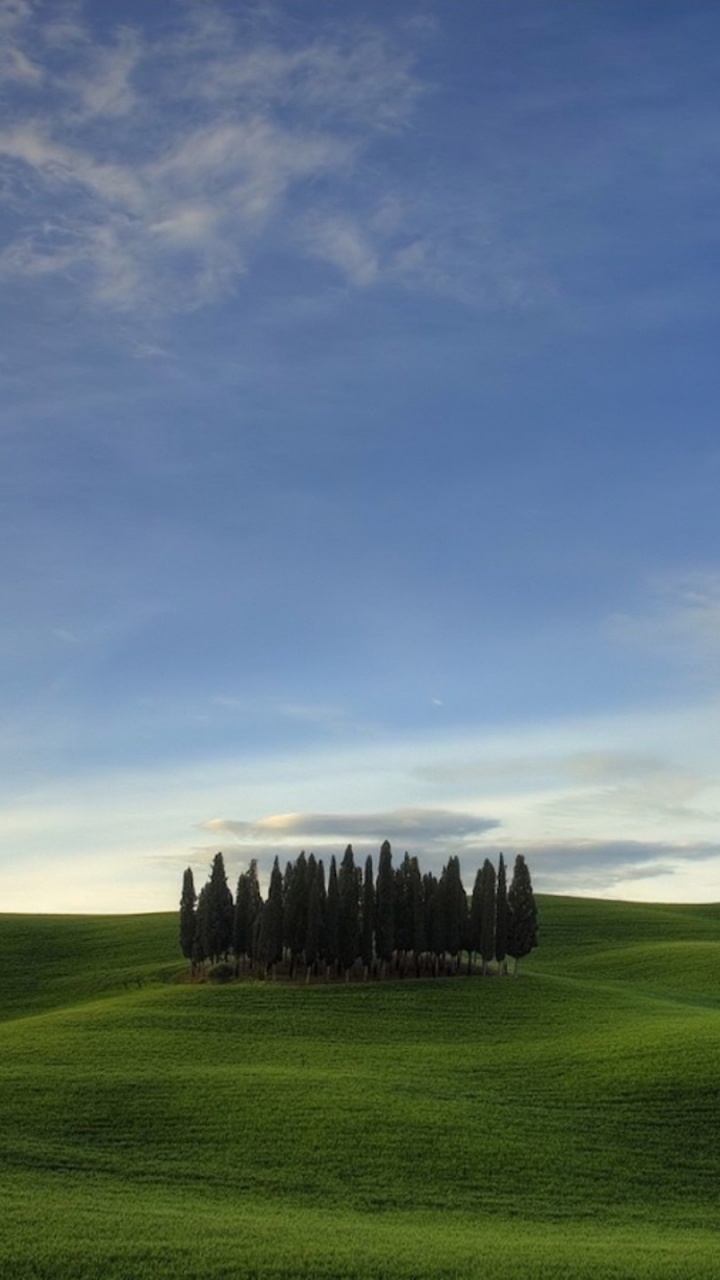 Green Grass Field Under Blue Sky During Daytime. Wallpaper in 720x1280 Resolution