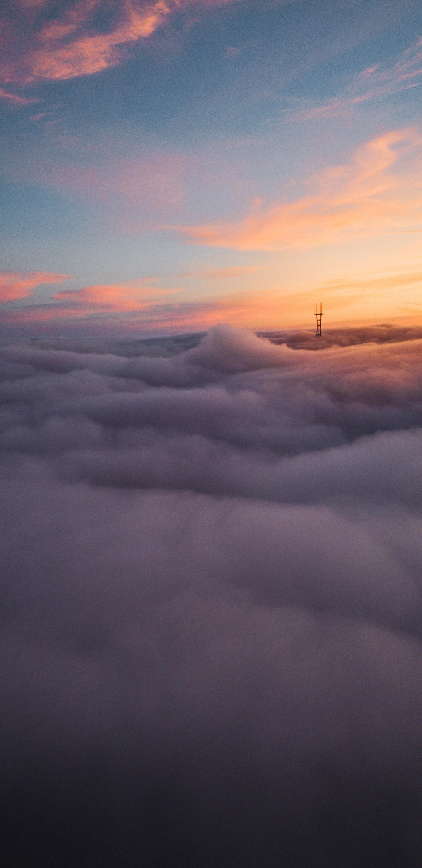 航班, 气氛, 余辉, 生态区, 阳光 壁纸 1440x2960 允许