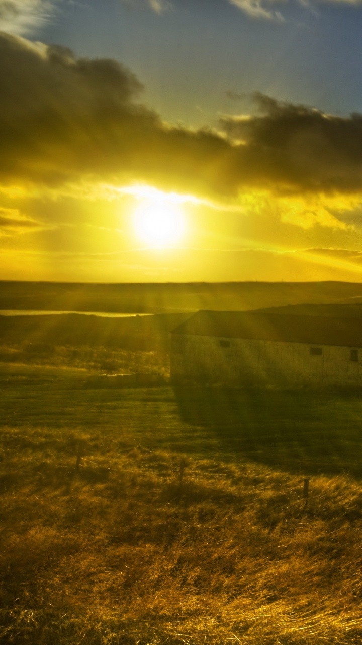 农场, 阳光, 普通的, 早上, 地平线 壁纸 720x1280 允许