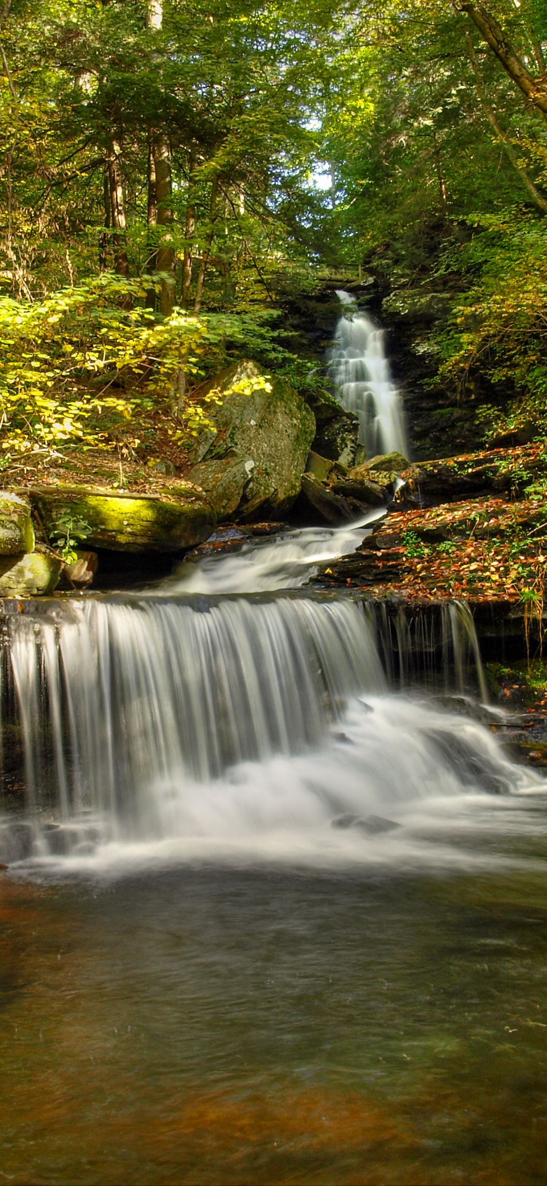 el Agua Cae en Medio Del Bosque. Wallpaper in 1125x2436 Resolution