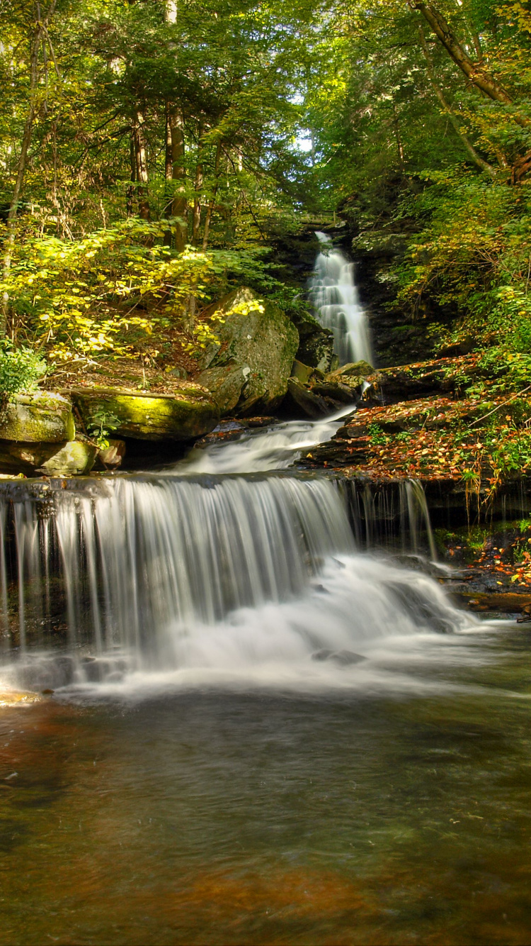 el Agua Cae en Medio Del Bosque. Wallpaper in 750x1334 Resolution