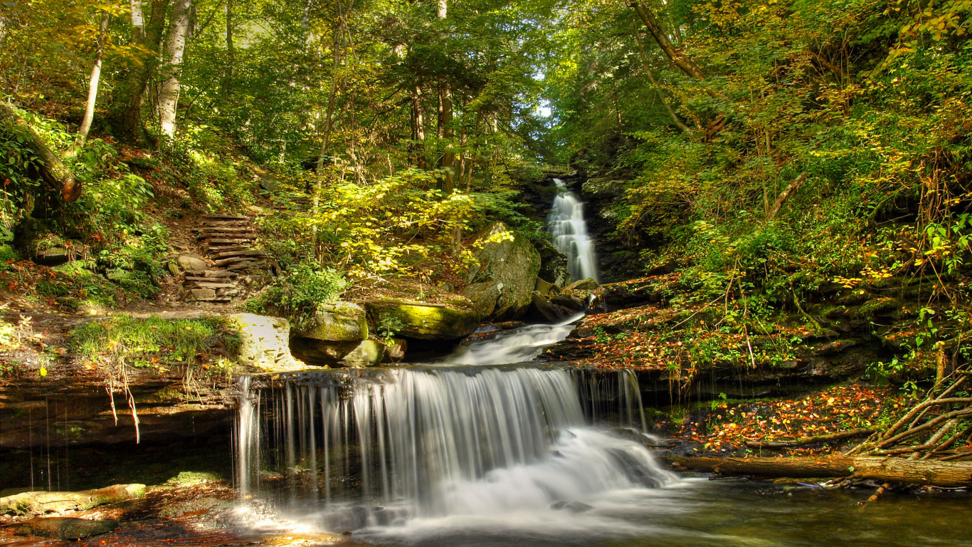 Wasser Fällt Mitten in Den Wald. Wallpaper in 1366x768 Resolution