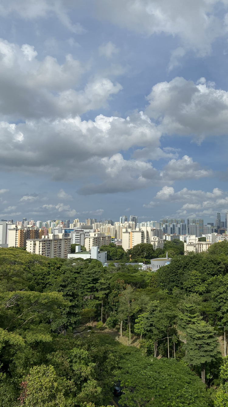 Vegetation, Nature, Daytime, Cloud, Tower Block. Wallpaper in 750x1334 Resolution