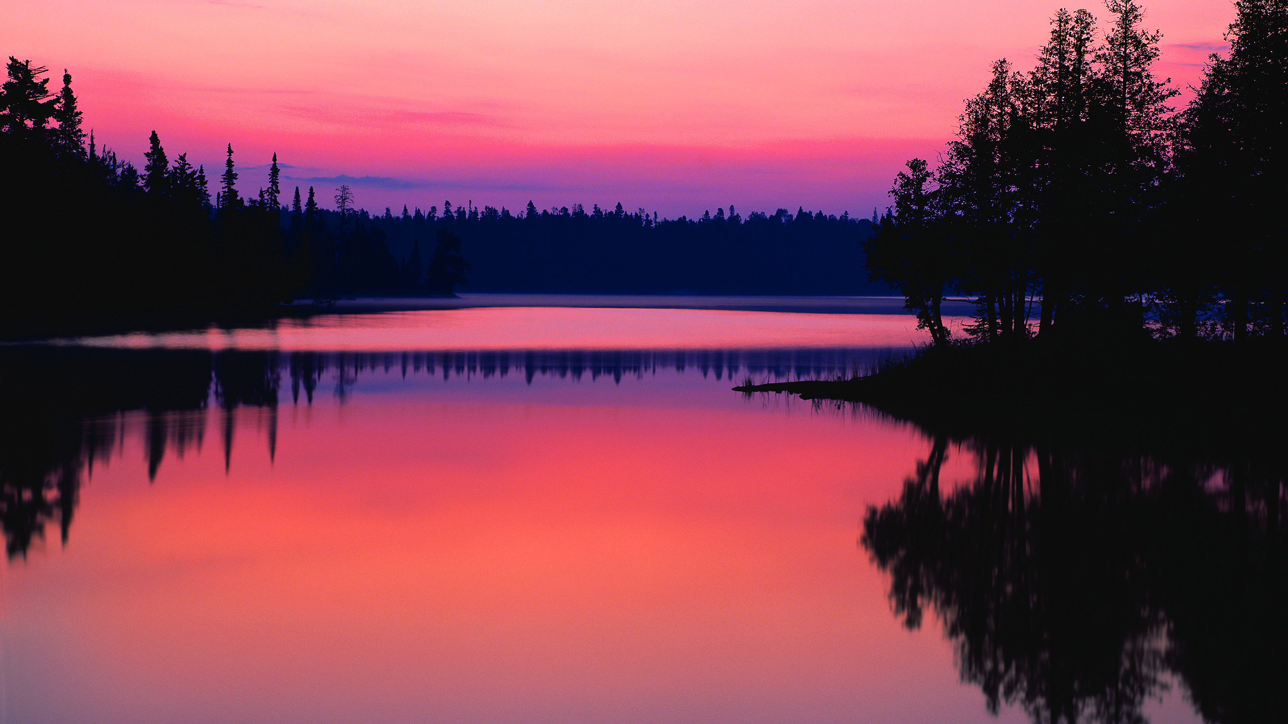 Silhouette Von Bäumen in Der Nähe Von Gewässern Bei Sonnenuntergang. Wallpaper in 2560x1440 Resolution