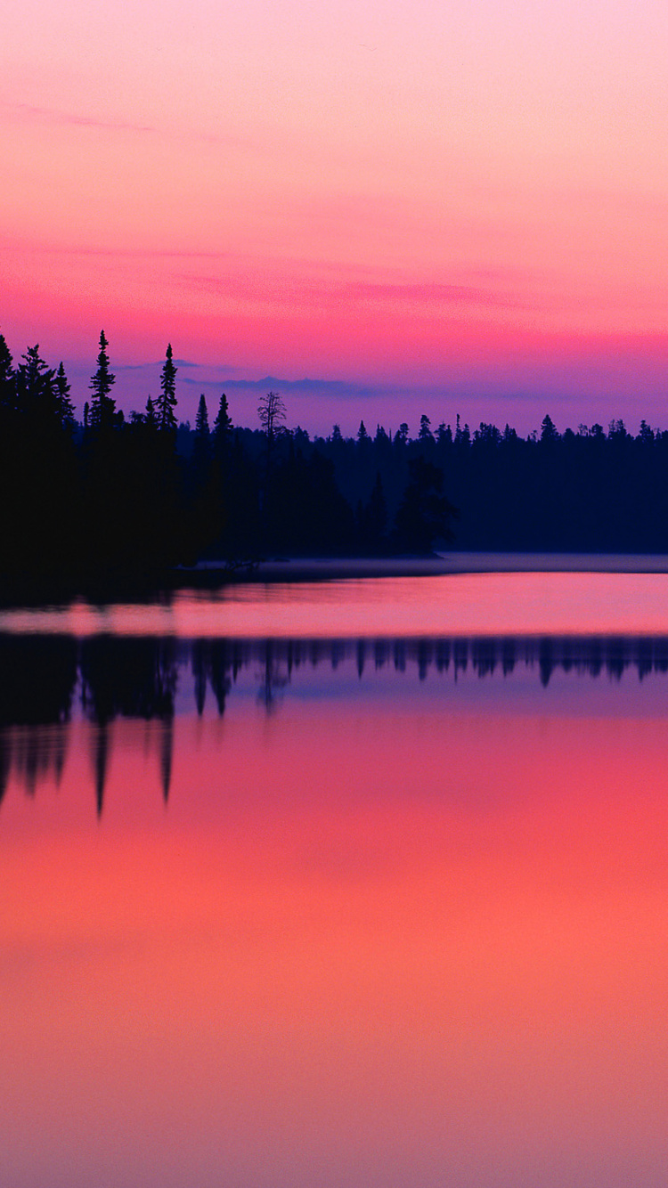 Silhouette of Trees Near Body of Water During Sunset. Wallpaper in 750x1334 Resolution