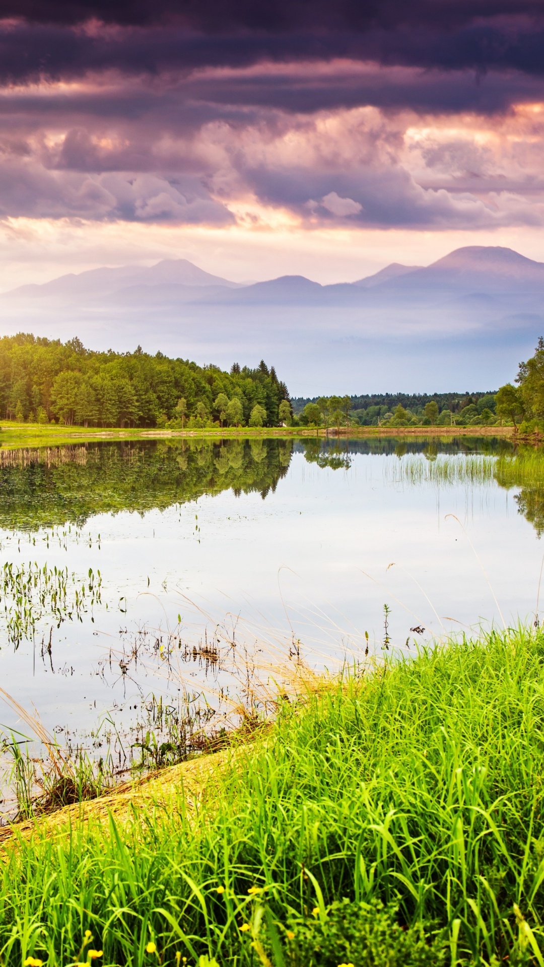 Campo de Hierba Verde Cerca Del Lago Bajo un Cielo Nublado Durante el Día. Wallpaper in 1080x1920 Resolution