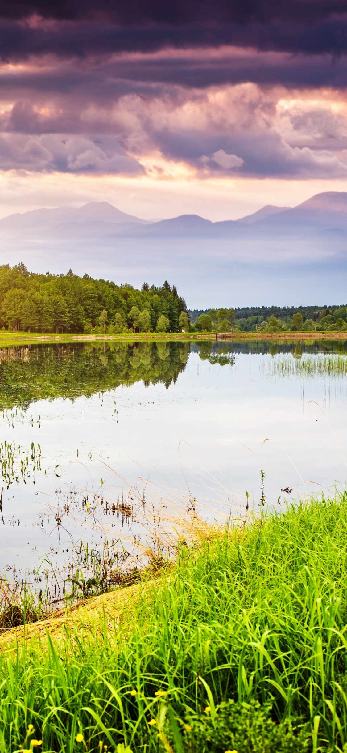 Grüne Wiese in Der Nähe Des Sees Unter Bewölktem Himmel Tagsüber. Wallpaper in 1125x2436 Resolution