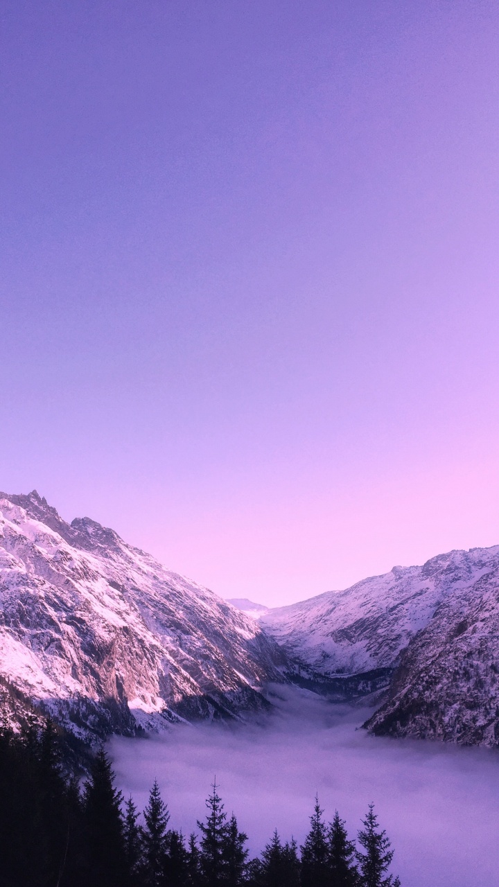 美学, 紫色的, 可爱, 紫罗兰色, 气氛 壁纸 720x1280 允许