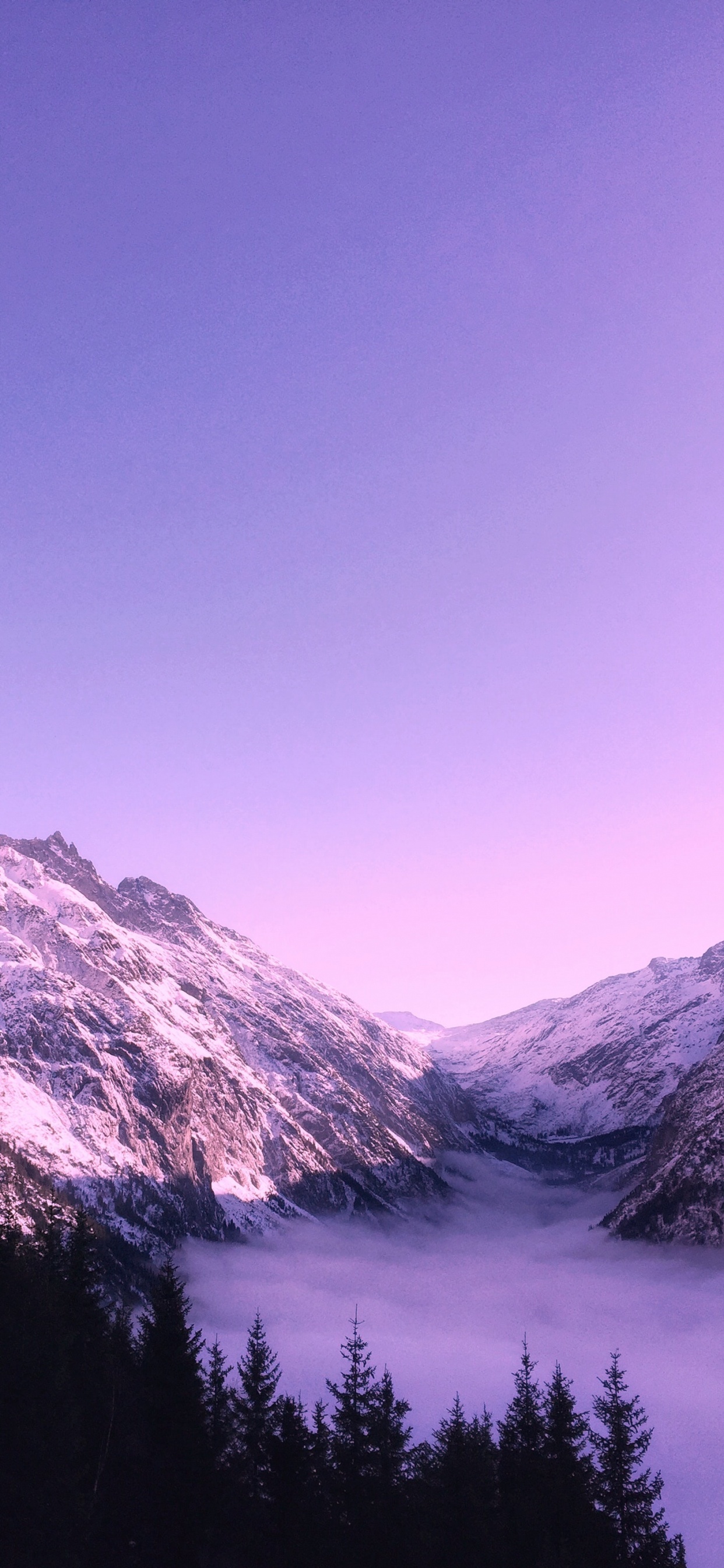 Süße Lila Ästhetik, Ästhetik, Purpur, Dunkelviolett, Niedlichkeit. Wallpaper in 1242x2688 Resolution