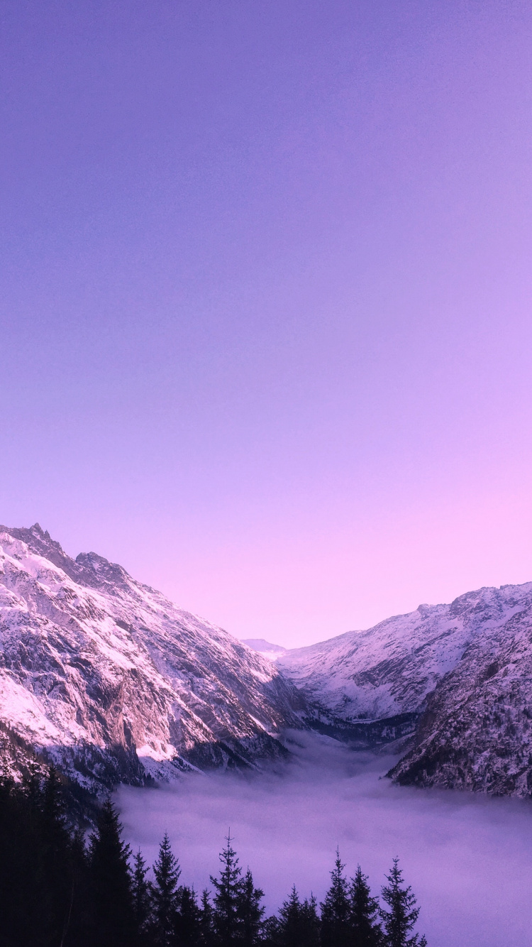 Süße Lila Ästhetik, Ästhetik, Purpur, Dunkelviolett, Niedlichkeit. Wallpaper in 750x1334 Resolution