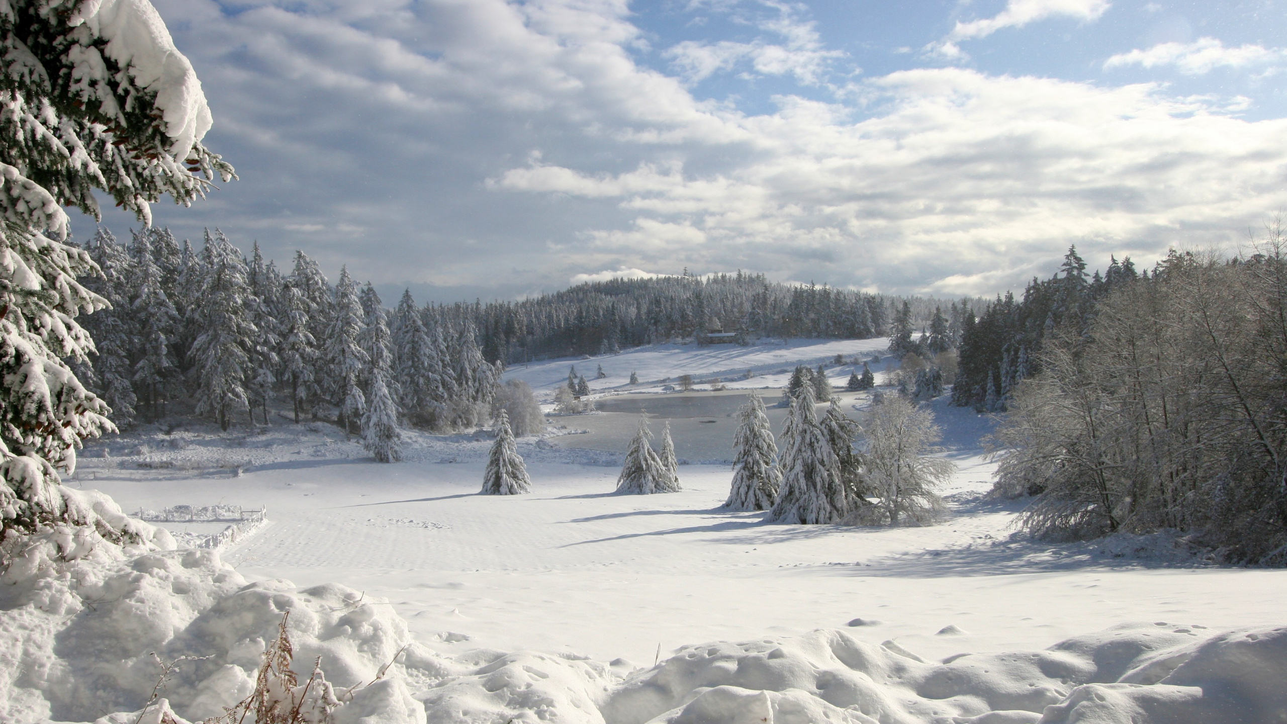 Schneebedecktes Feld Und Bäume Unter Weißen Wolken Und Blauem Himmel Tagsüber. Wallpaper in 2560x1440 Resolution