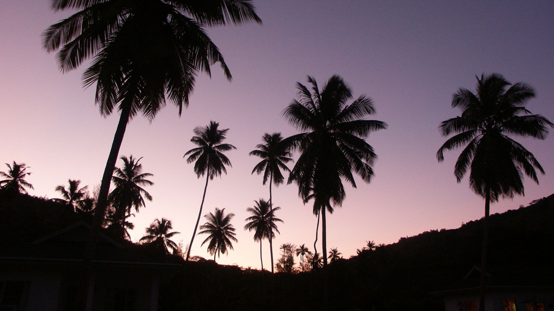 Silhouette of Coconut Trees During Sunset. Wallpaper in 1920x1080 Resolution