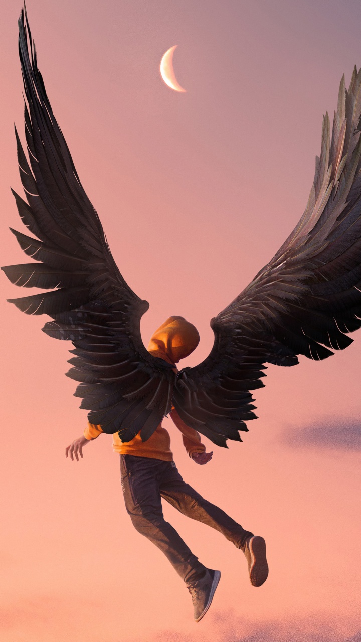 Ambiente, Objeto Astronómico, Ala, de la Media Luna, Ave. Wallpaper in 720x1280 Resolution