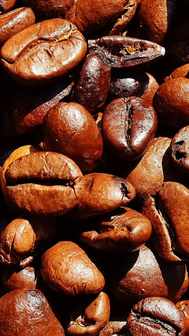 Brown Coffee Beans in Close up Photography. Wallpaper in 750x1334 Resolution