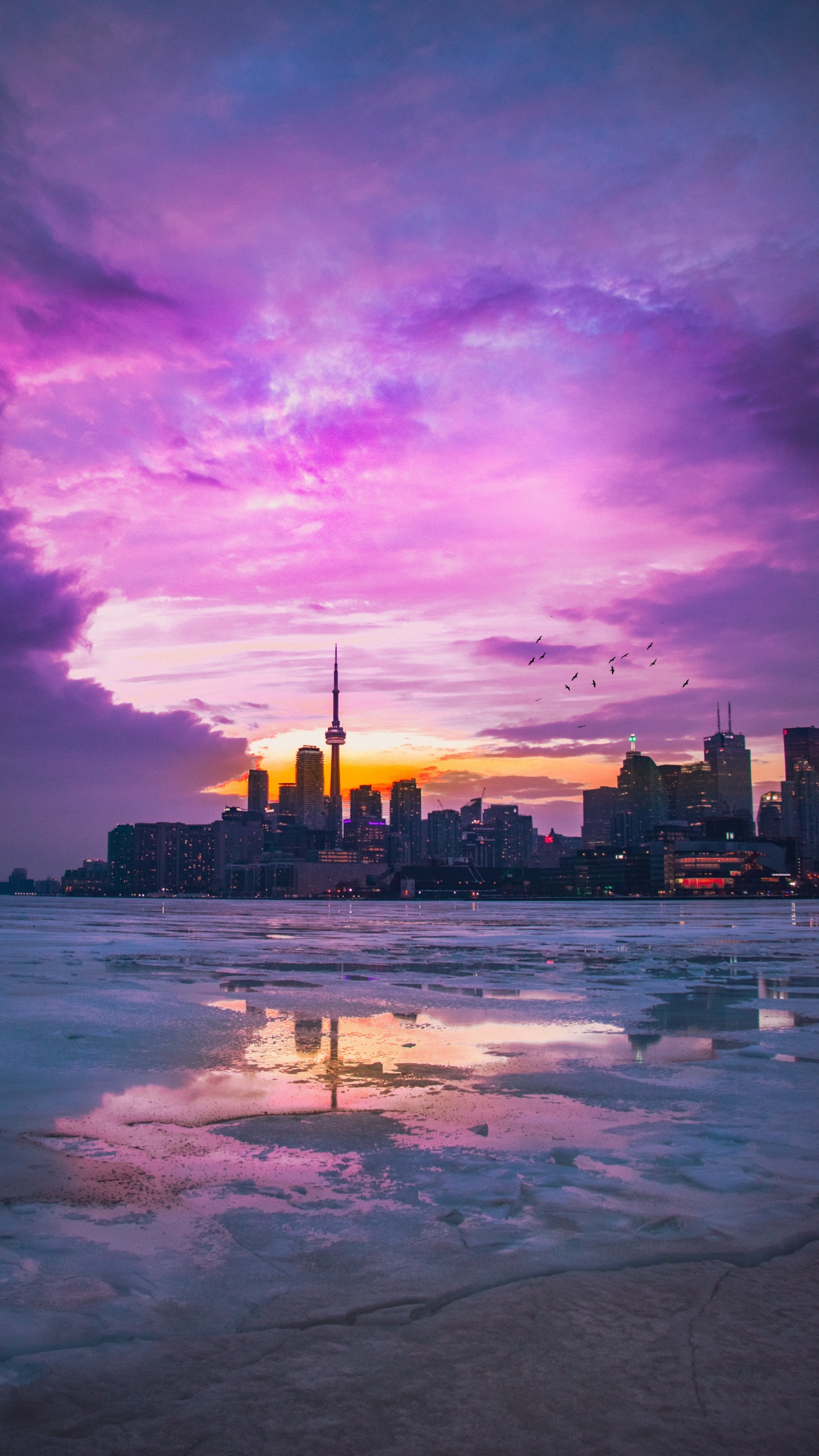 Toronto, Tablet, Cloud, Wasser, Atmosphäre. Wallpaper in 1440x2560 Resolution