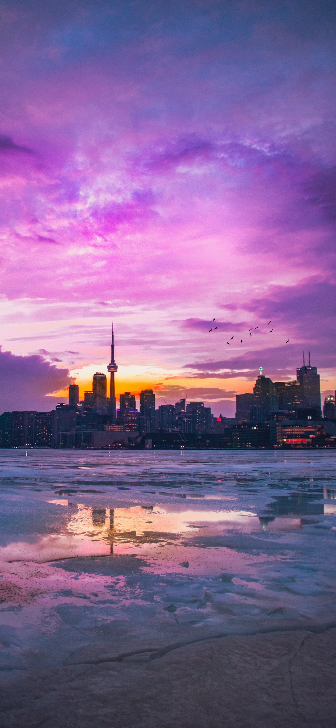 Toronto, Tablet, Cloud, Water, Atmosphere. Wallpaper in 1125x2436 Resolution