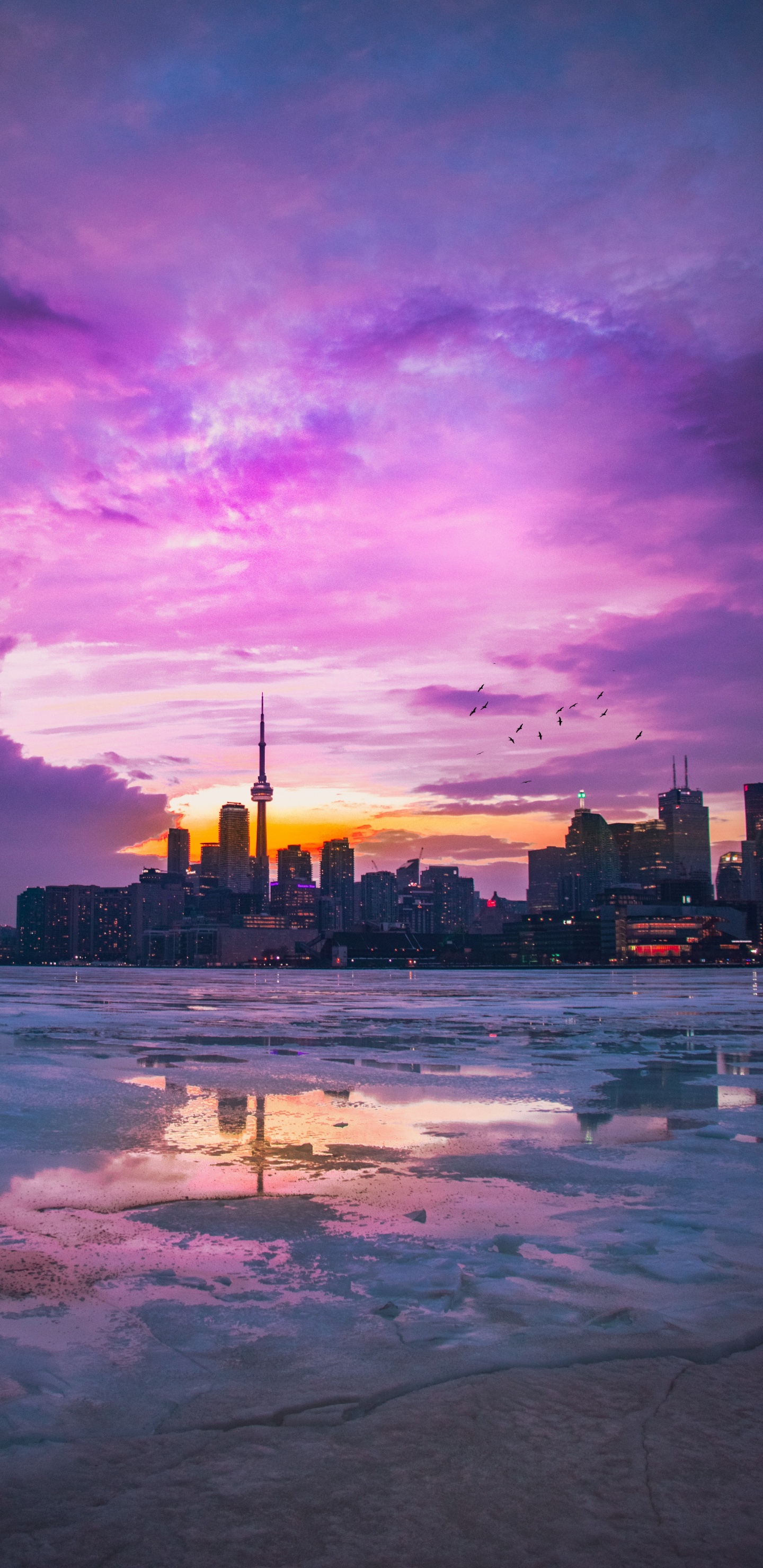 Toronto, Tablet, Eau, Atmosphère, la Journée. Wallpaper in 1440x2960 Resolution