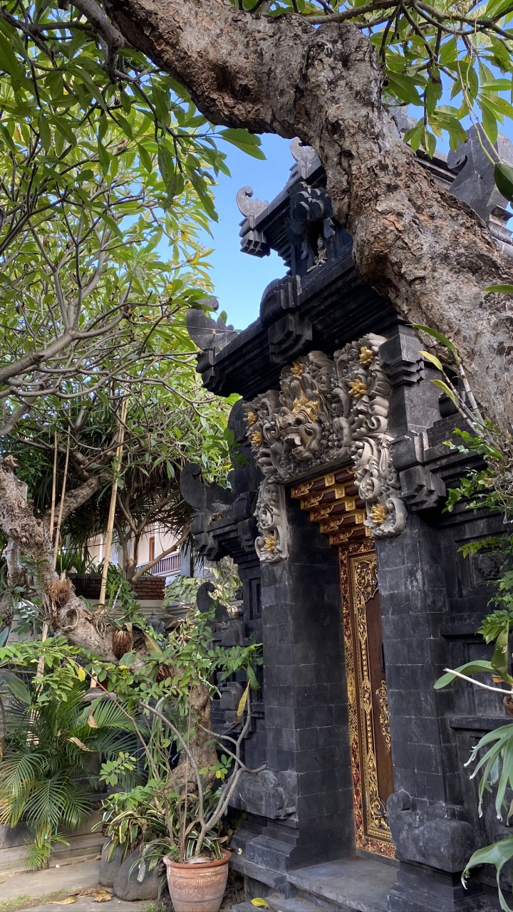 巴厘岛, 花盆, 盆栽, 雕塑, 寺庙 壁纸 720x1280 允许