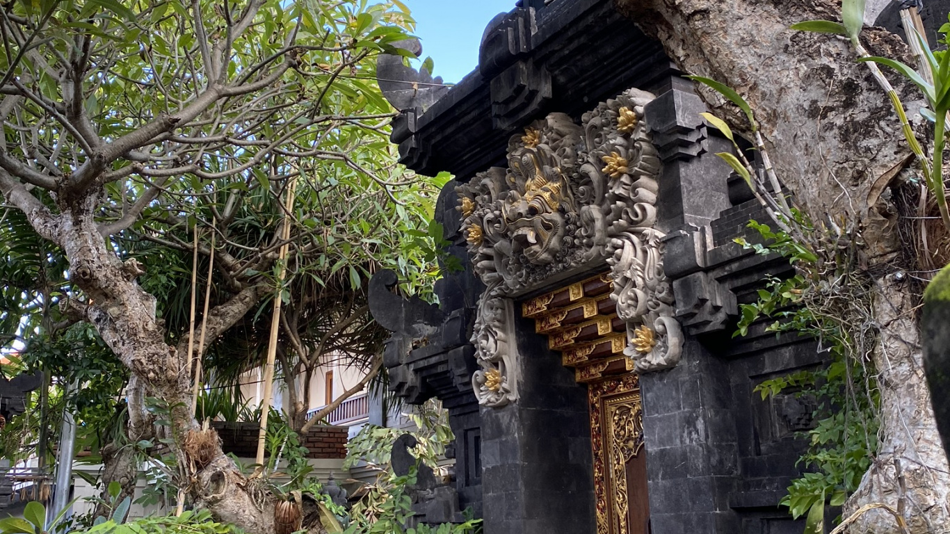 Bali, Tree, Plant, Branch, Flowerpot. Wallpaper in 1366x768 Resolution