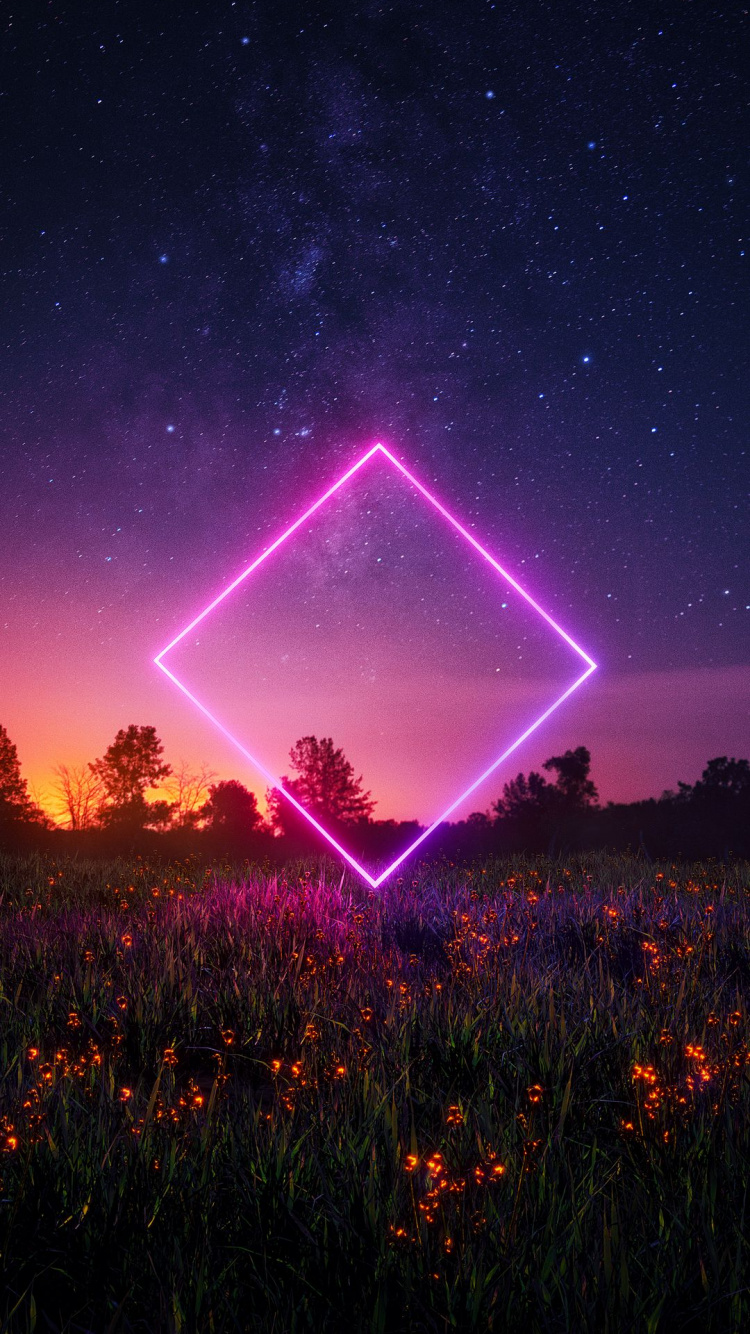 Naturaleza, Ambiente, Luz, Verde, Morado. Wallpaper in 750x1334 Resolution