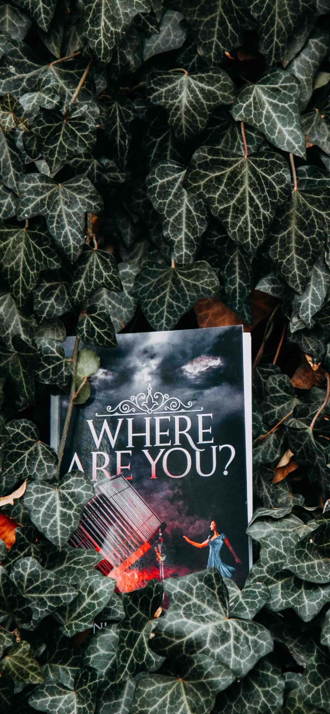 Schwarz-weiß Alles Gute Zum Geburtstag Grußkarte Auf Grünen Blättern. Wallpaper in 1125x2436 Resolution