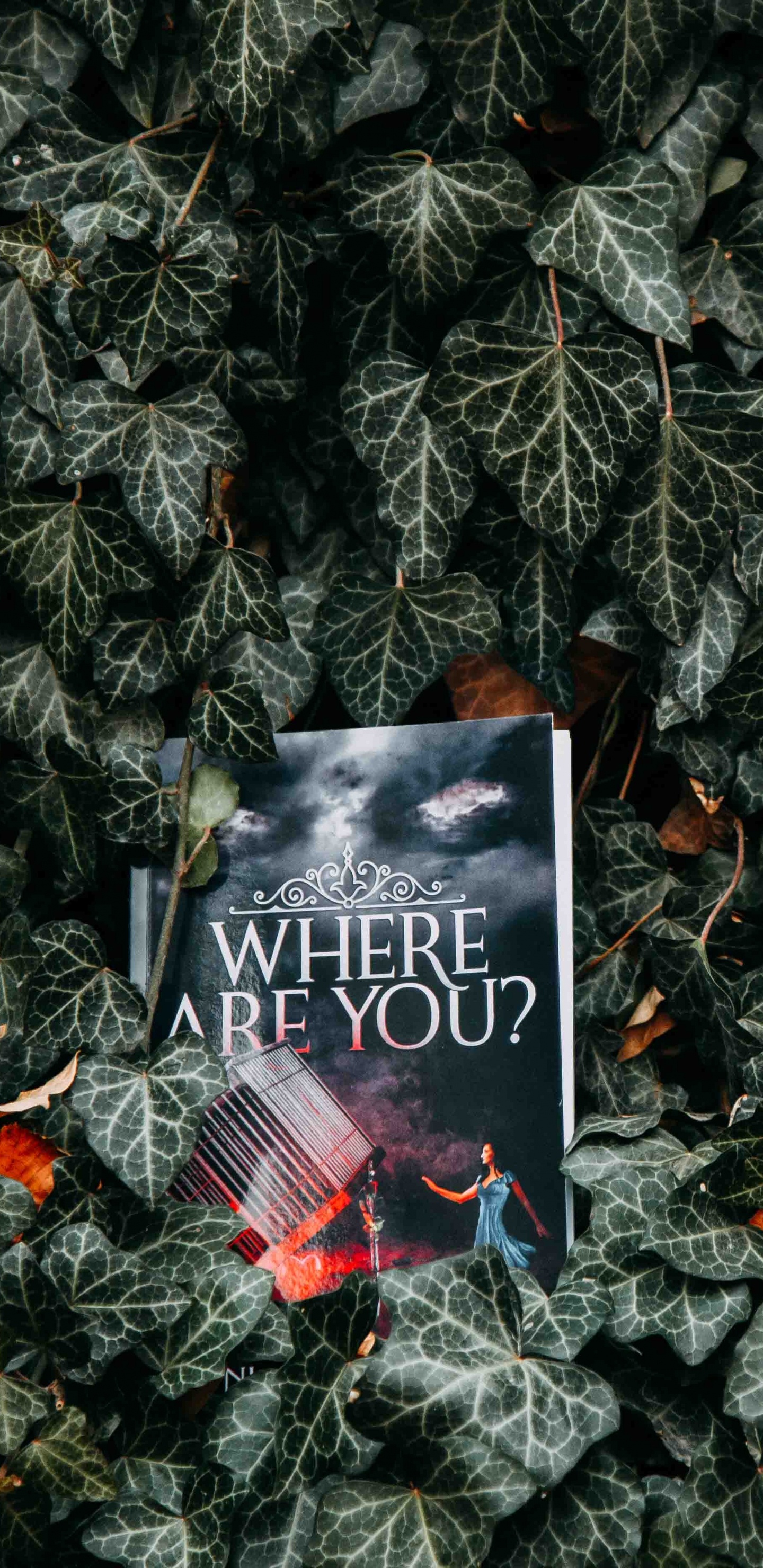 Schwarz-weiß Alles Gute Zum Geburtstag Grußkarte Auf Grünen Blättern. Wallpaper in 1440x2960 Resolution