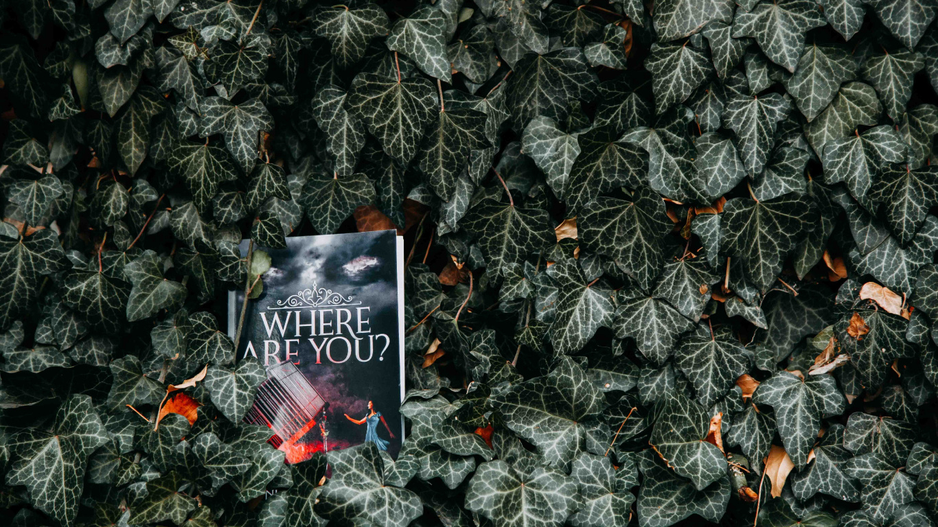 Carte de Voeux de Joyeux Anniversaire Noir et Blanc Sur Des Feuilles Vertes. Wallpaper in 1366x768 Resolution