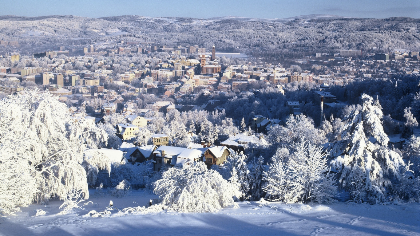 Aerial View of City During Daytime. Wallpaper in 1366x768 Resolution