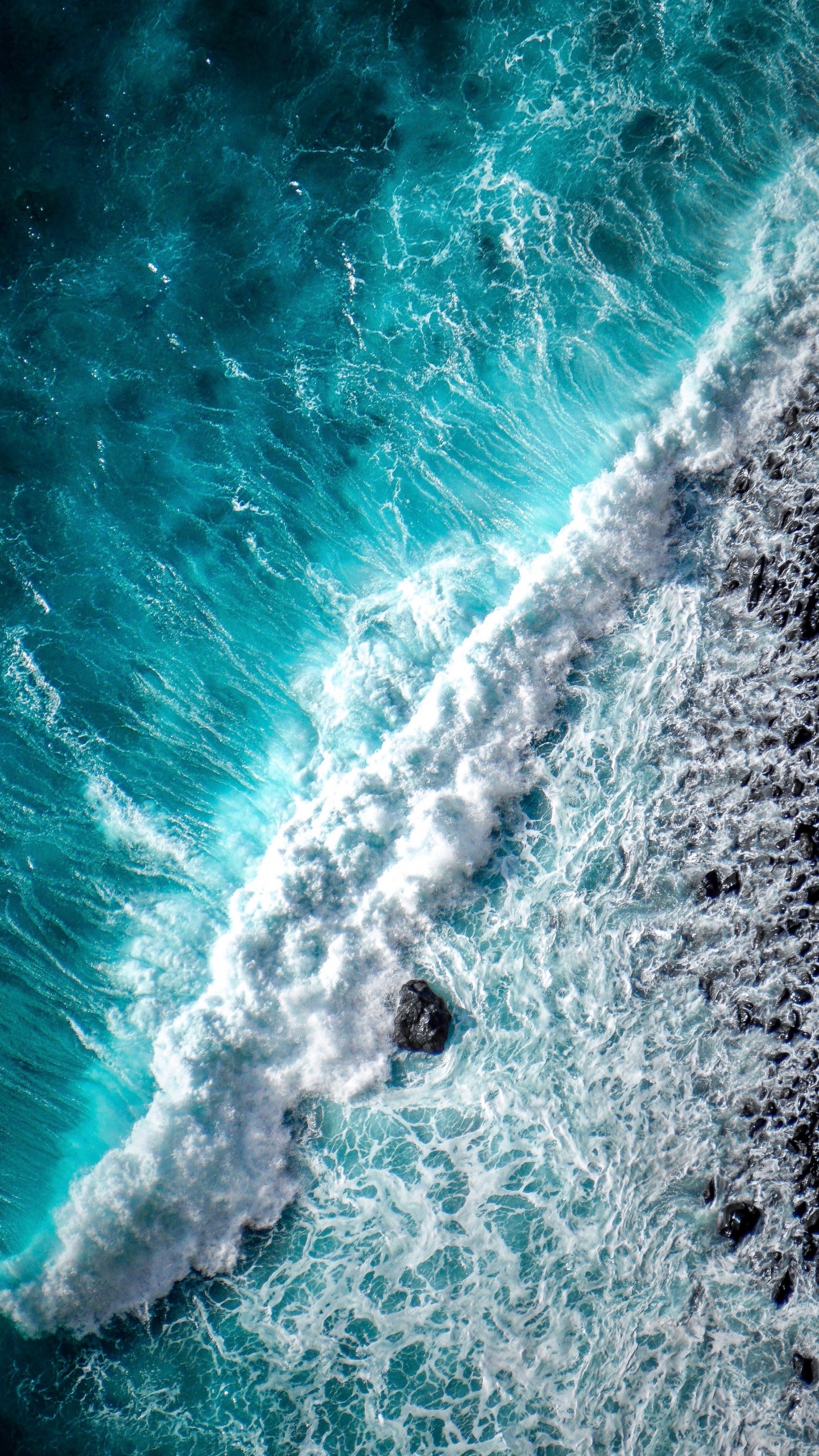 Las Olas Del Mar, Mar, Olas Del Mar, Oceano, Biología Marina. Wallpaper in 1440x2560 Resolution