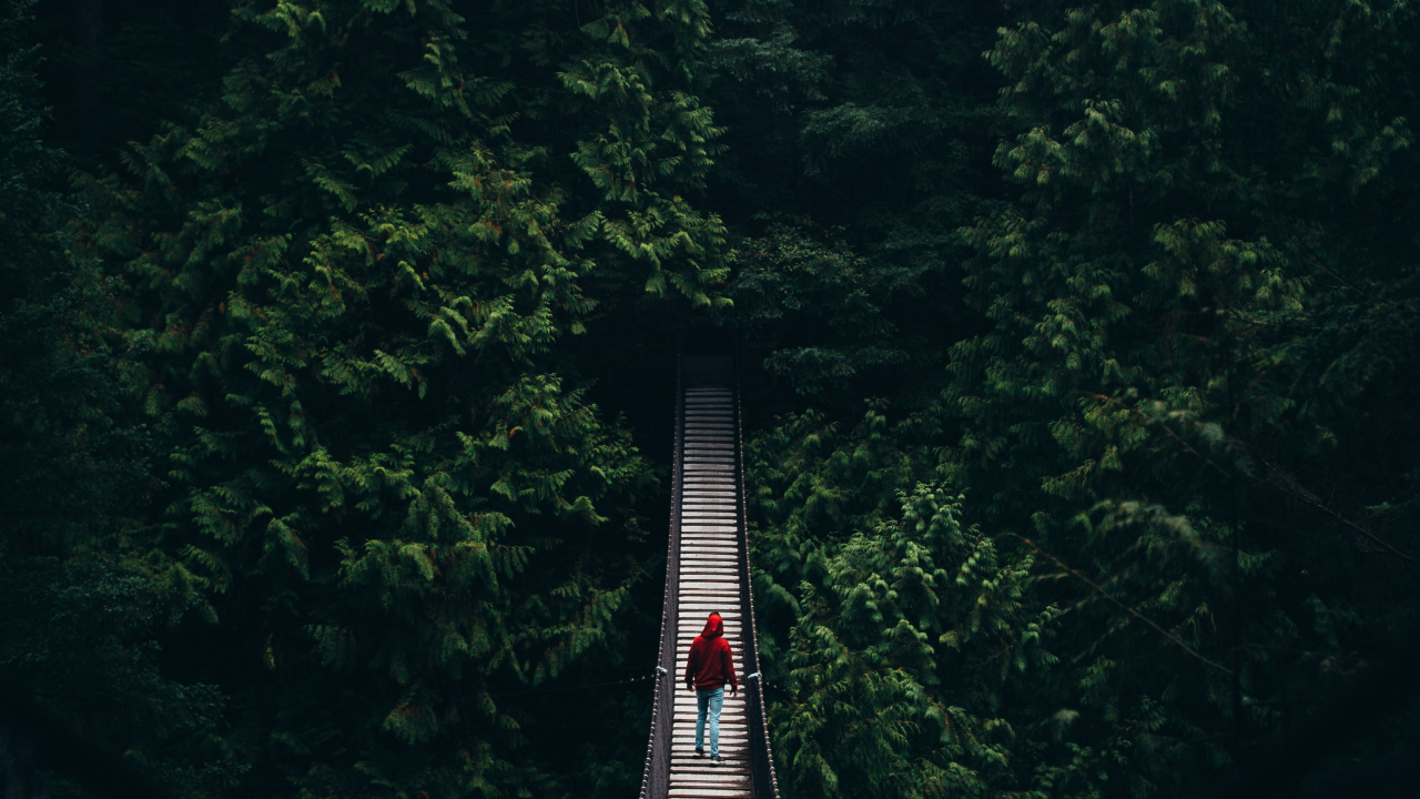 Gray Hanging Bridge Between Green Trees During Daytime. Wallpaper in 1280x720 Resolution