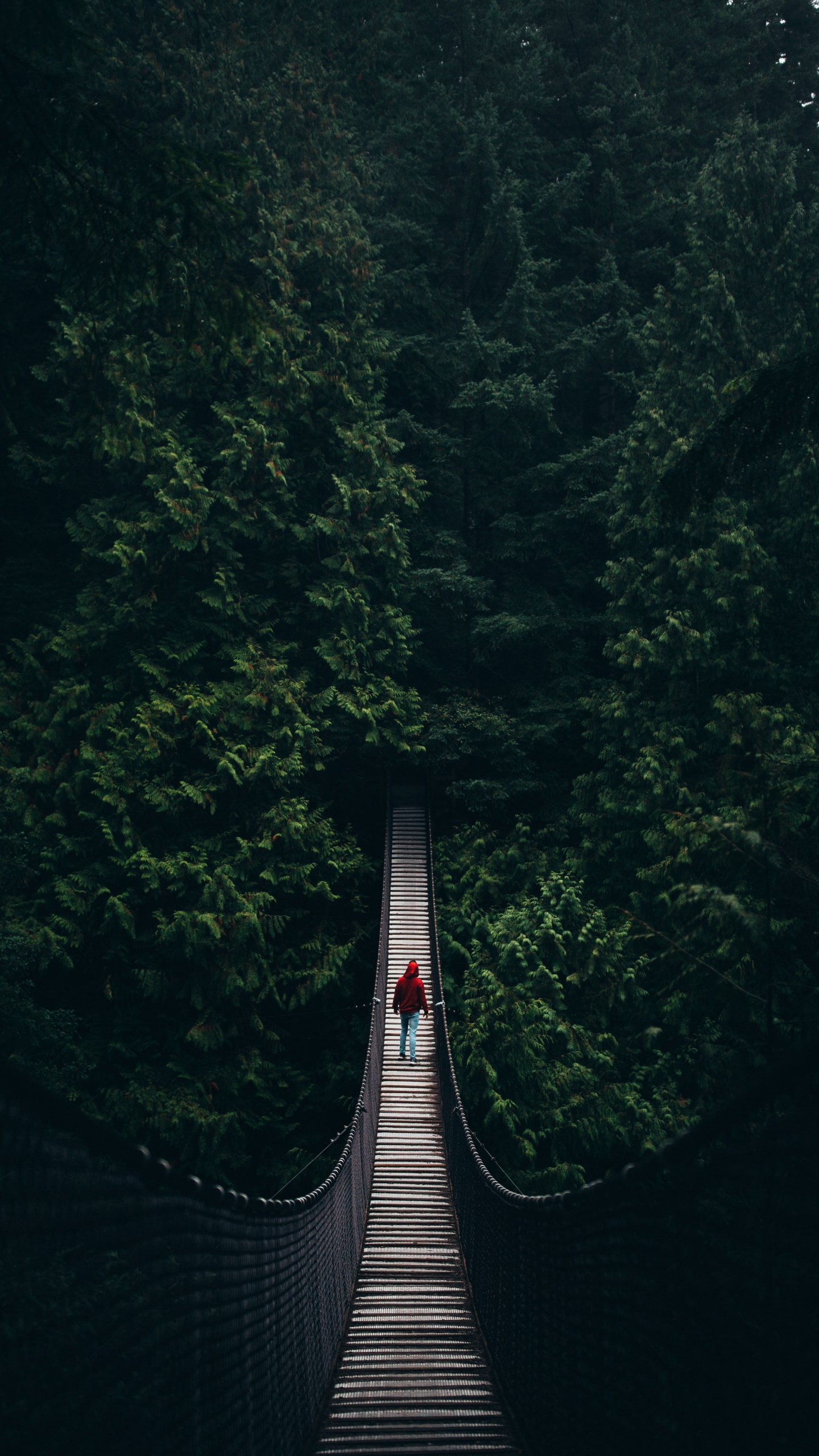 Gray Hanging Bridge Between Green Trees During Daytime. Wallpaper in 1440x2560 Resolution