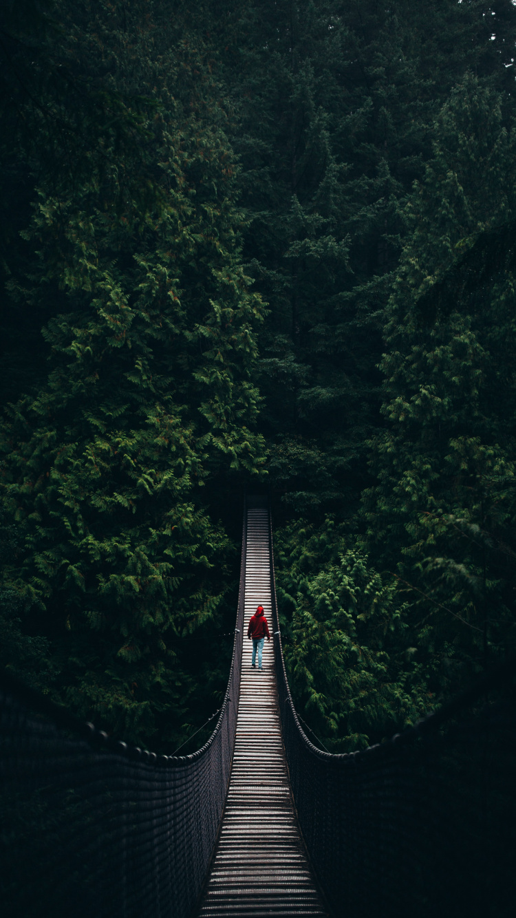Gray Hanging Bridge Between Green Trees During Daytime. Wallpaper in 750x1334 Resolution