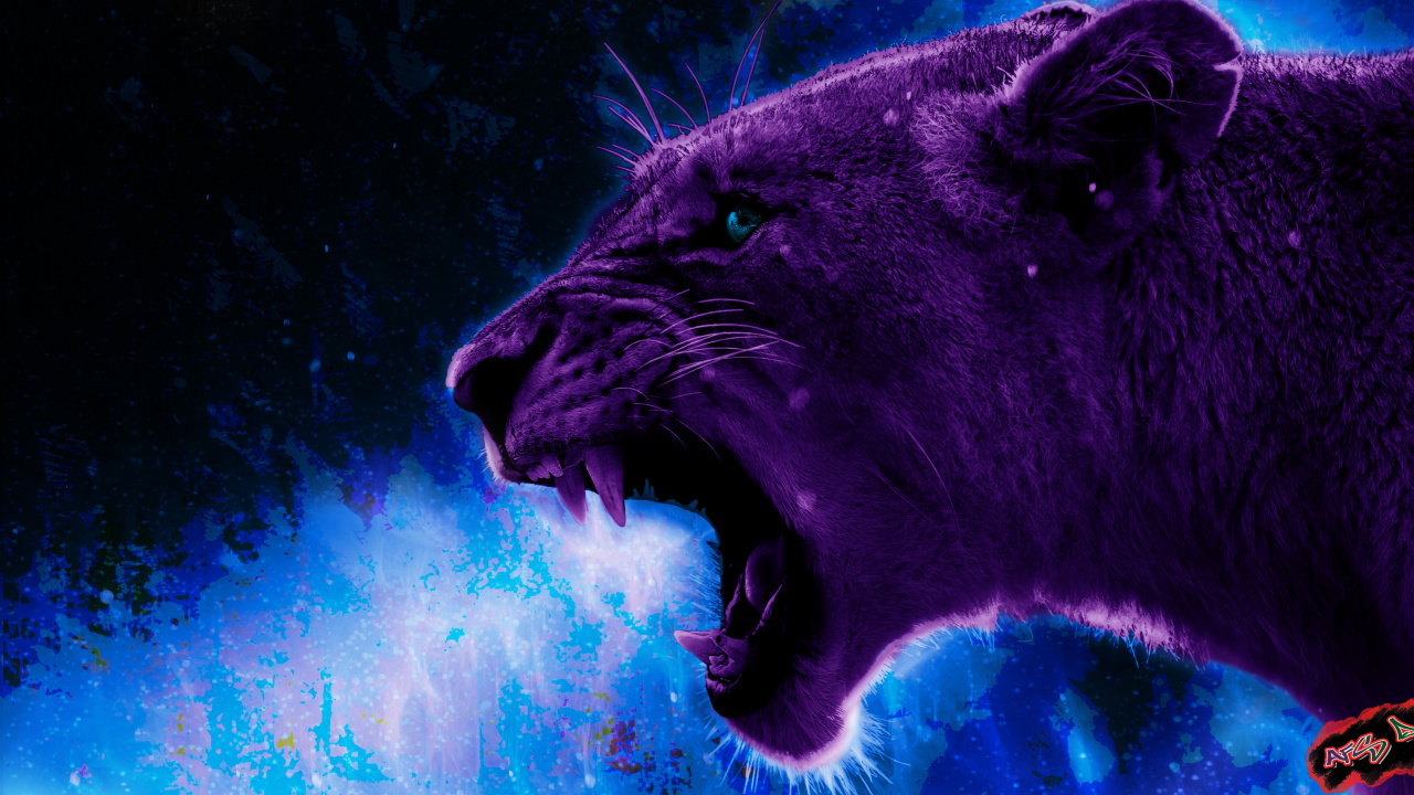 狮子, 艺术家, 艺术, 猫科, 紫色的 壁纸 1280x720 允许