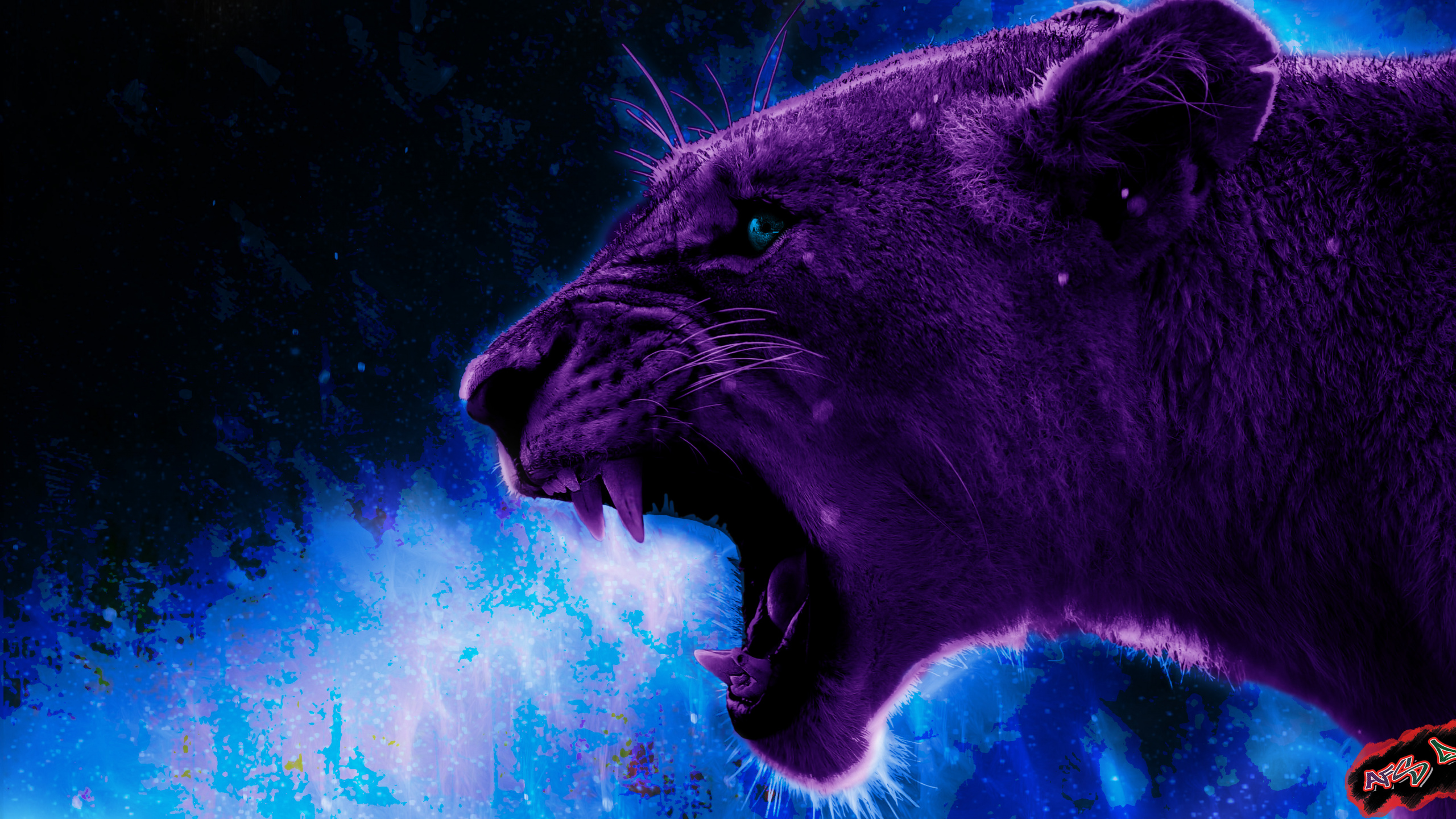 狮子, 艺术家, 艺术, 猫科, 紫色的 壁纸 2560x1440 允许