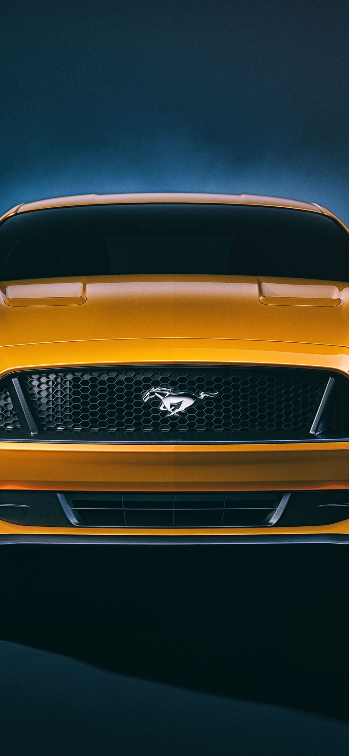 Azul Bmw m 3 Cupé. Wallpaper in 1125x2436 Resolution