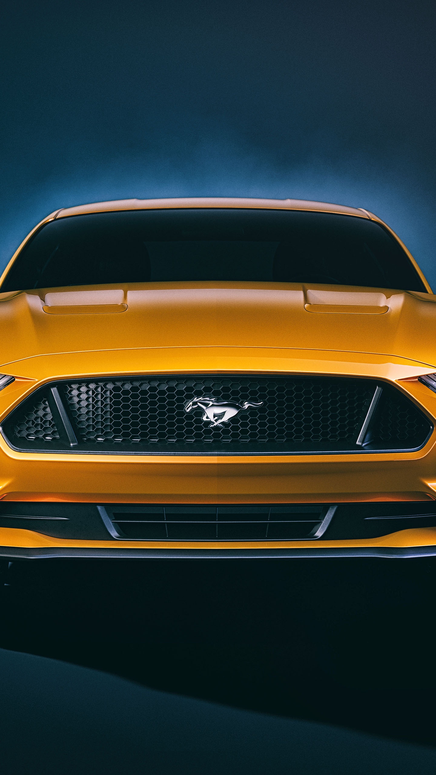 Blue Bmw m 3 Coupe. Wallpaper in 1440x2560 Resolution