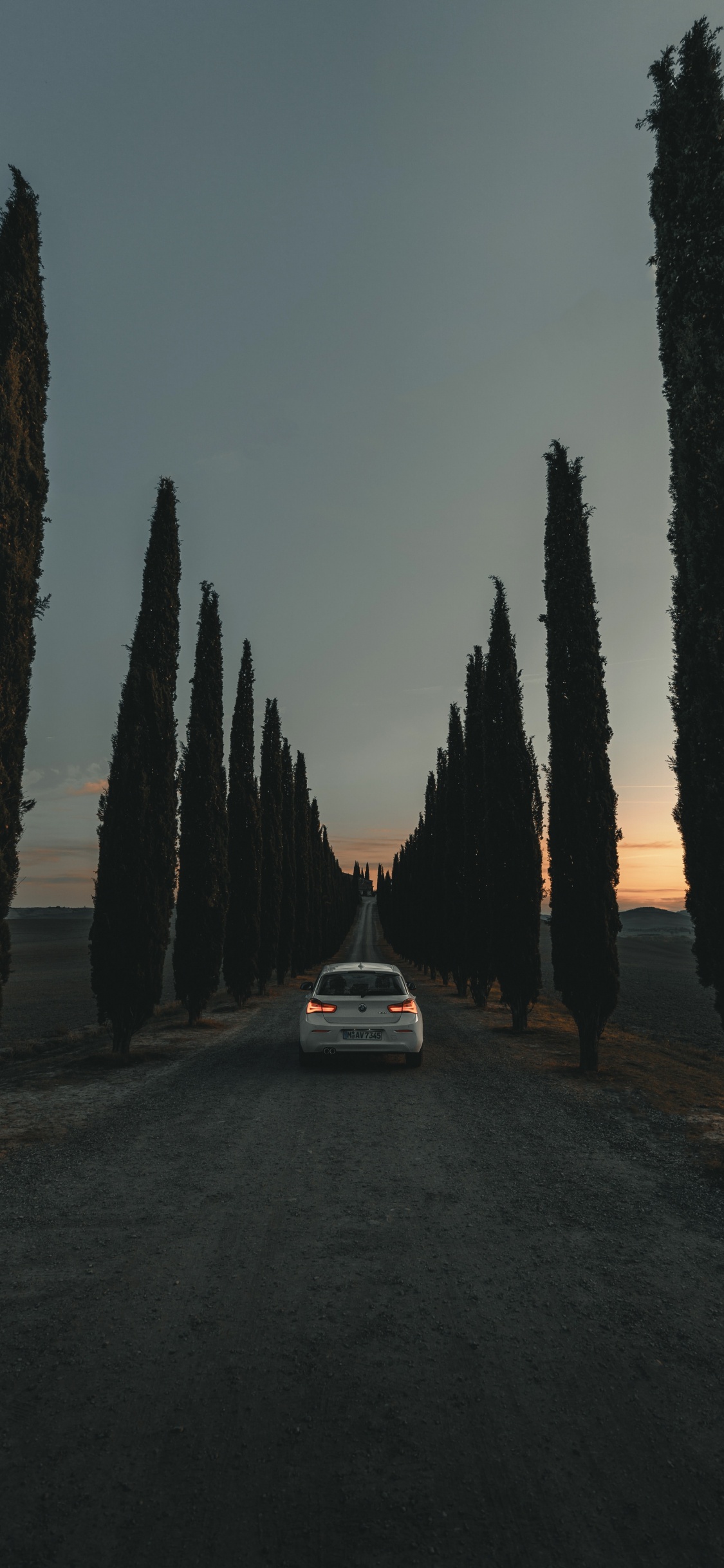 White Car Parked Near Trees During Night Time. Wallpaper in 1125x2436 Resolution