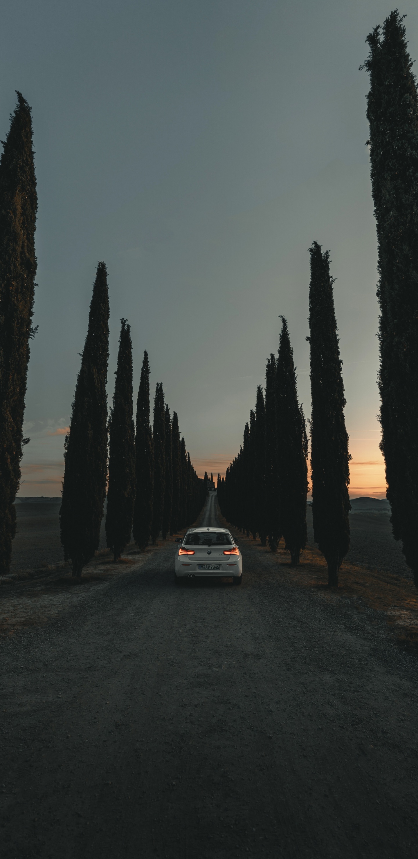 White Car Parked Near Trees During Night Time. Wallpaper in 1440x2960 Resolution