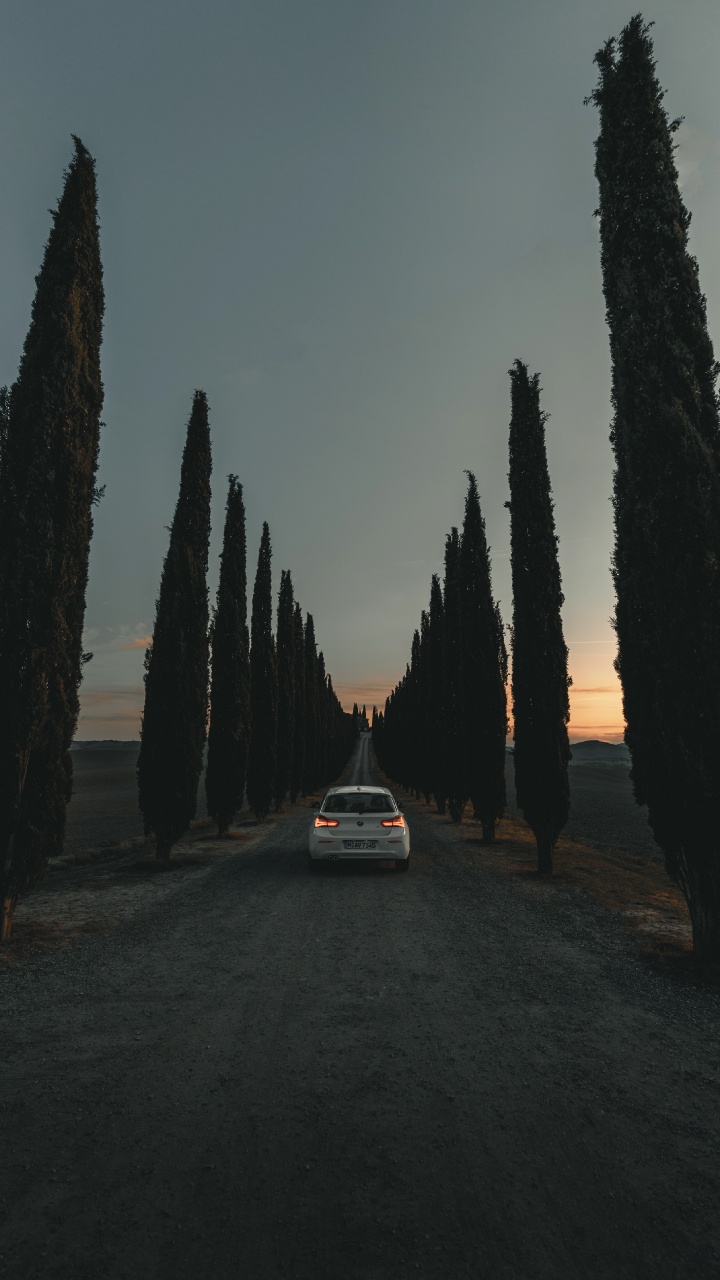 White Car Parked Near Trees During Night Time. Wallpaper in 720x1280 Resolution