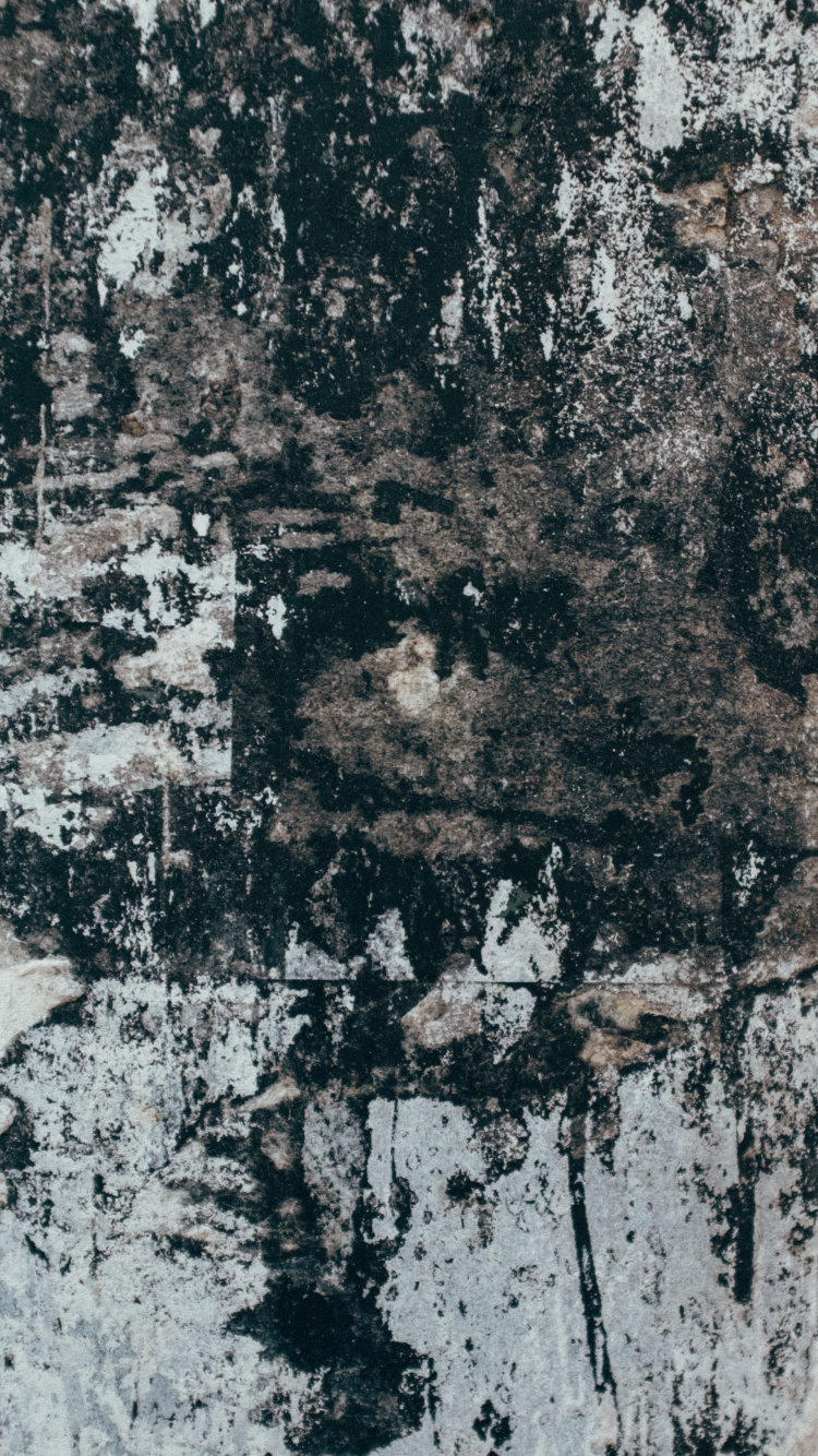 Texture, Black, Wall, Tree, Wood. Wallpaper in 750x1334 Resolution