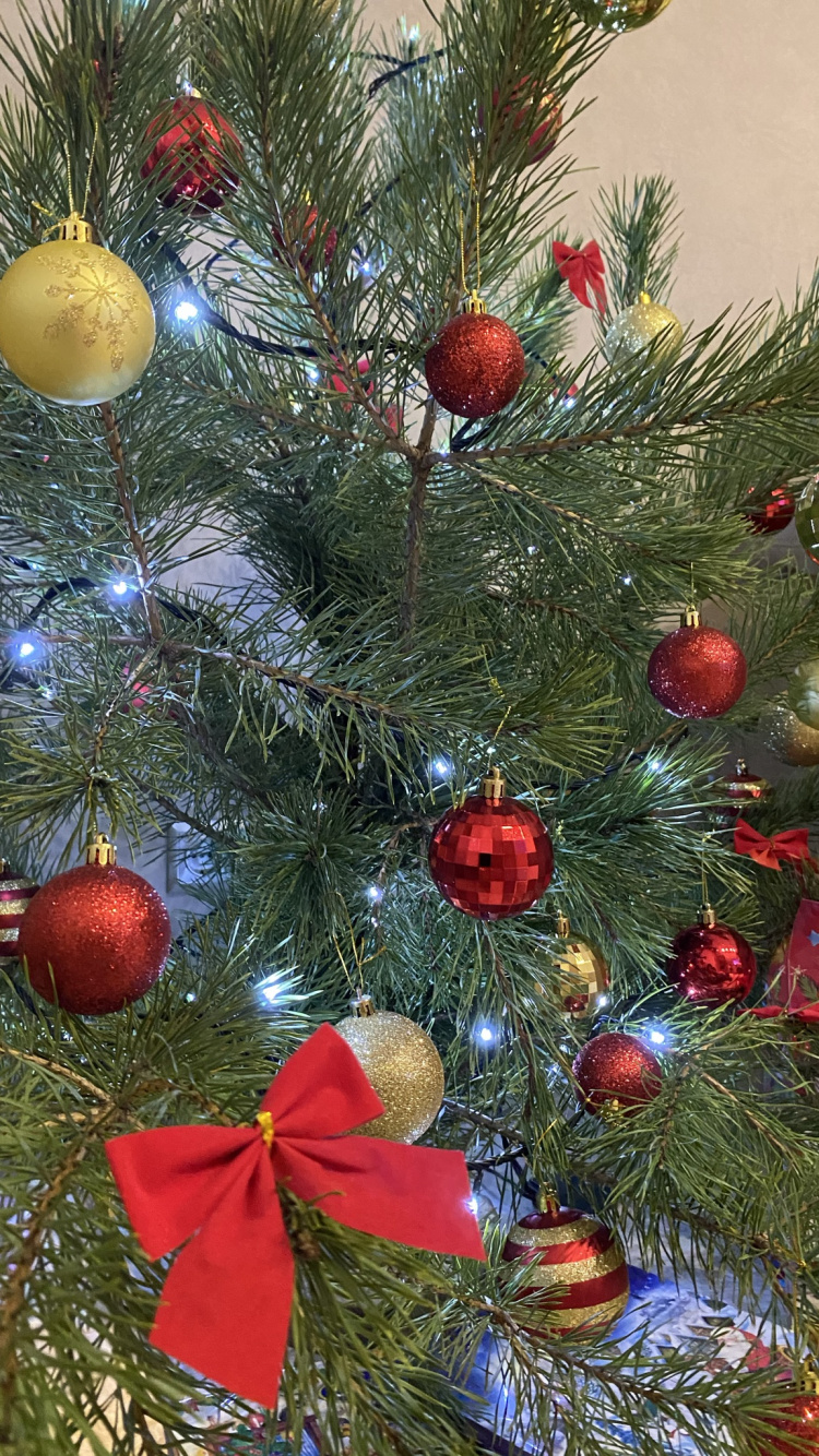 Christmas Ornament, Christmas Day, Christmas Tree, Fir, Event. Wallpaper in 750x1334 Resolution