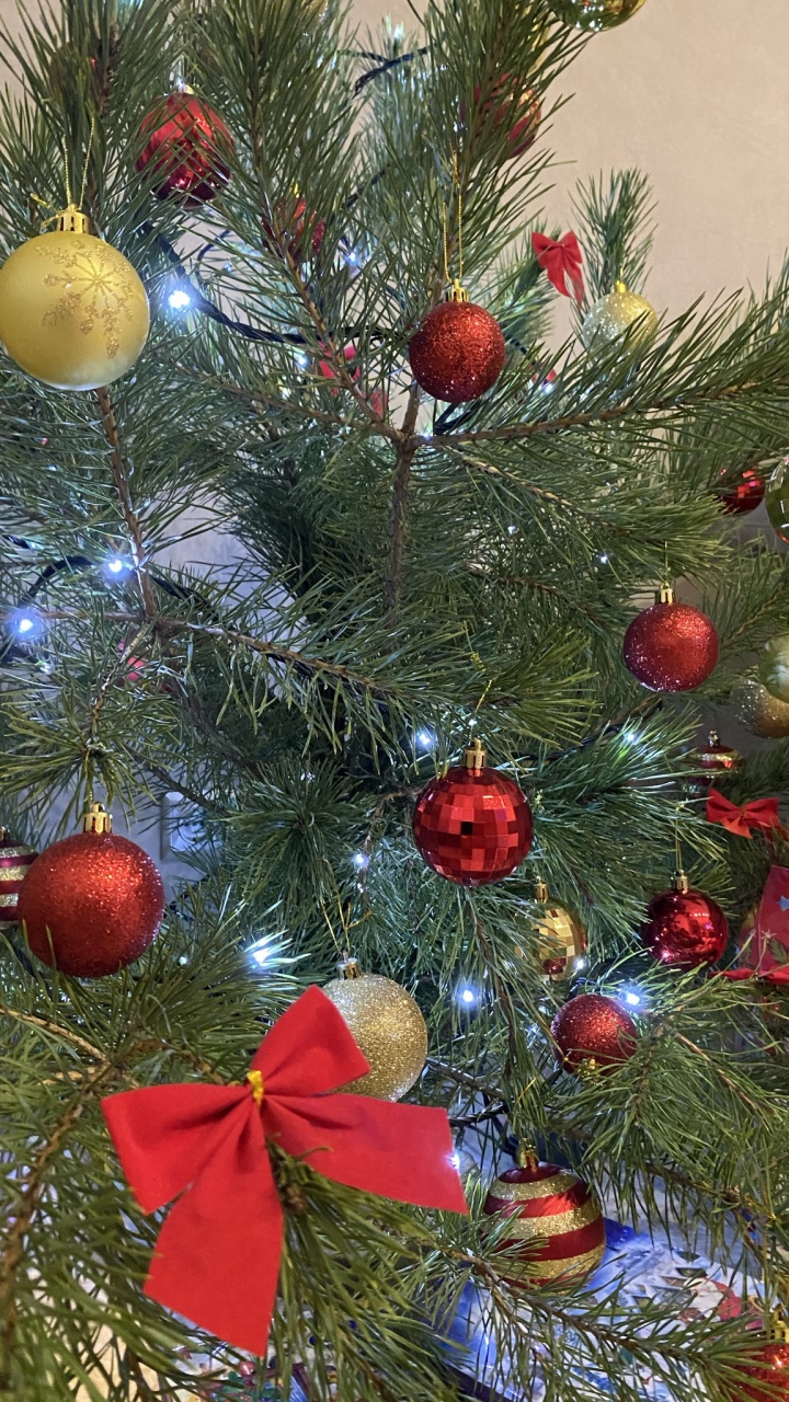 Christmas Ornament, Weihnachten, Weihnachtsbaum, Fir, Veranstaltung. Wallpaper in 720x1280 Resolution