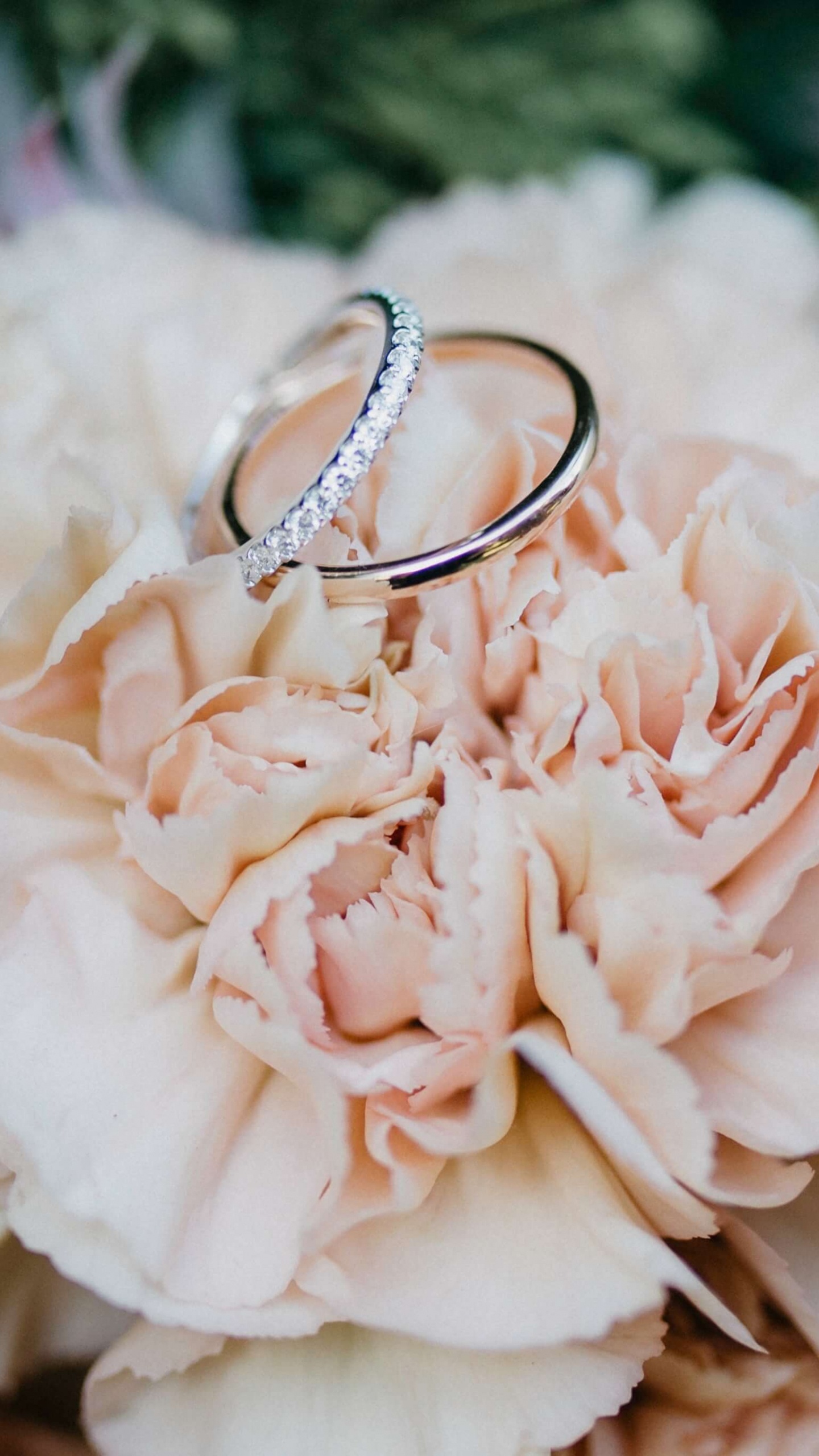 Bague de Fiançailles, Bague de Mariage, Bijouterie, Engagement, Anneau. Wallpaper in 1440x2560 Resolution