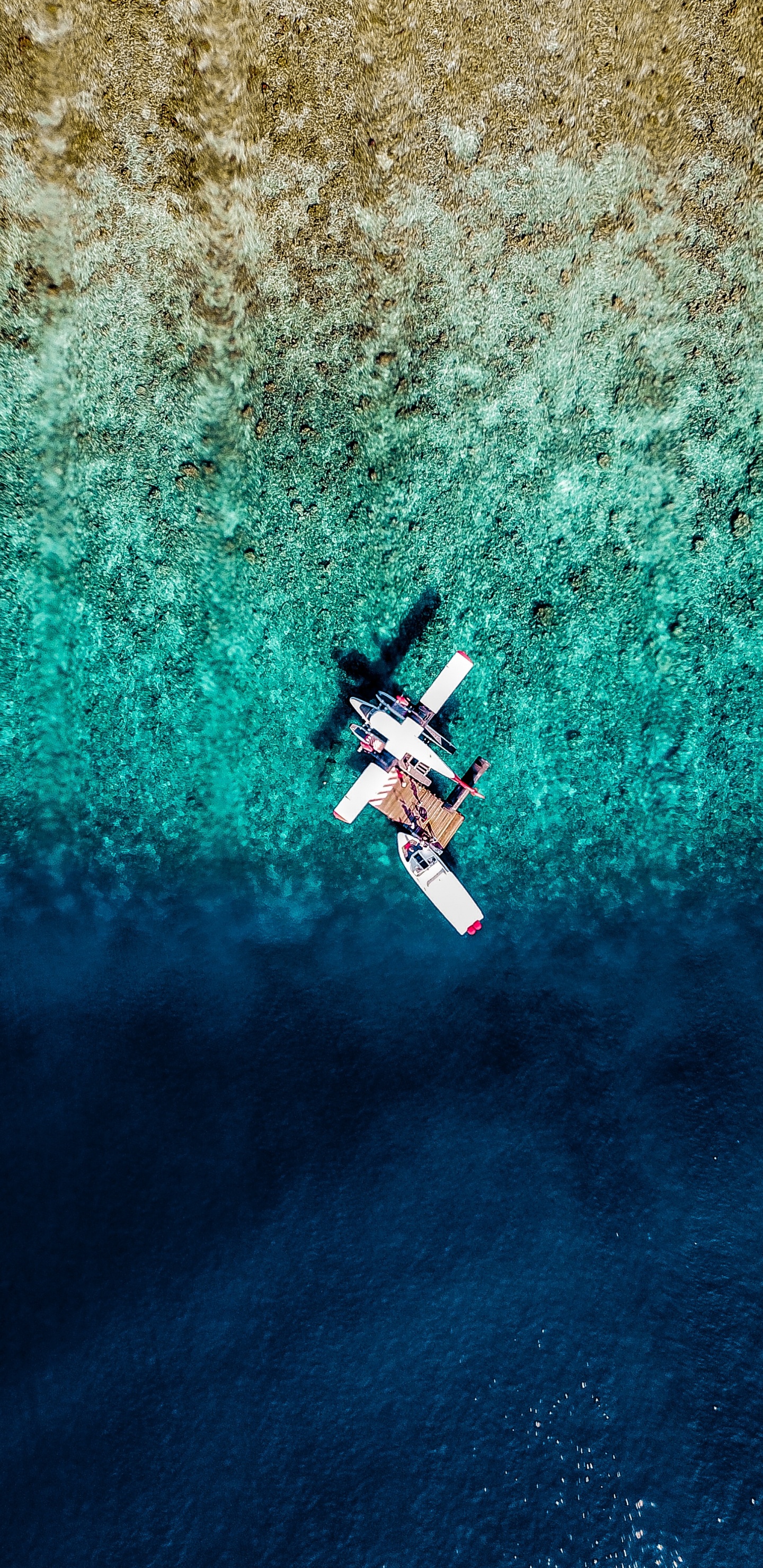 Airplane, Water, Blue, Extreme Sport, Turquoise. Wallpaper in 1440x2960 Resolution