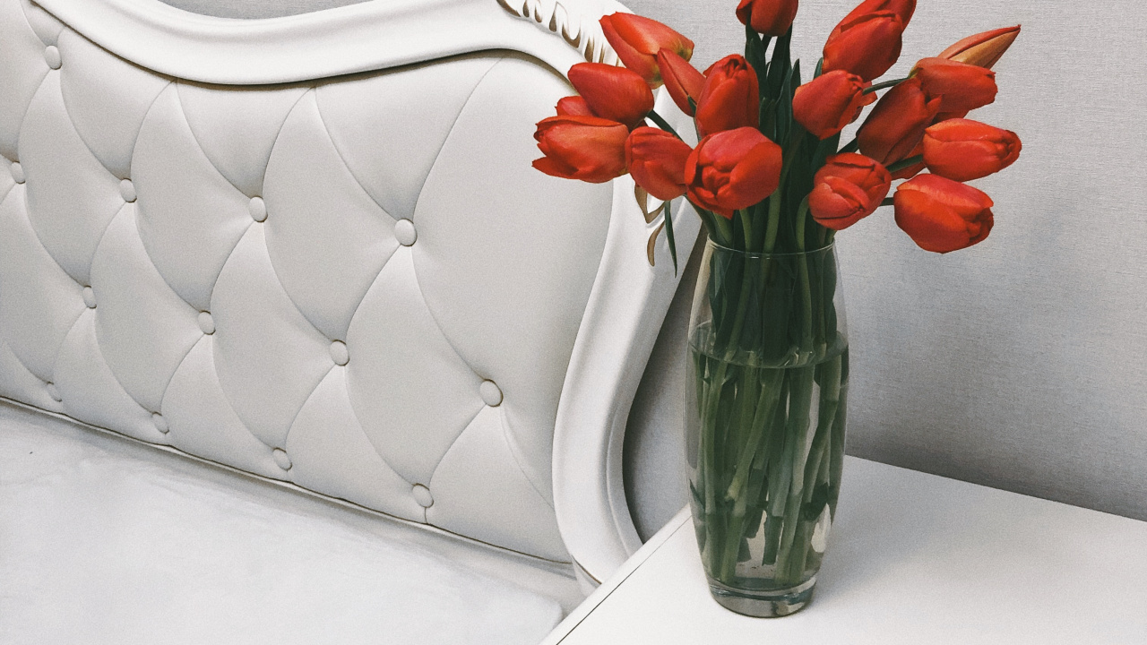 花盆, 花卉设计, 切花, 人造花, 显花植物 壁纸 1280x720 允许